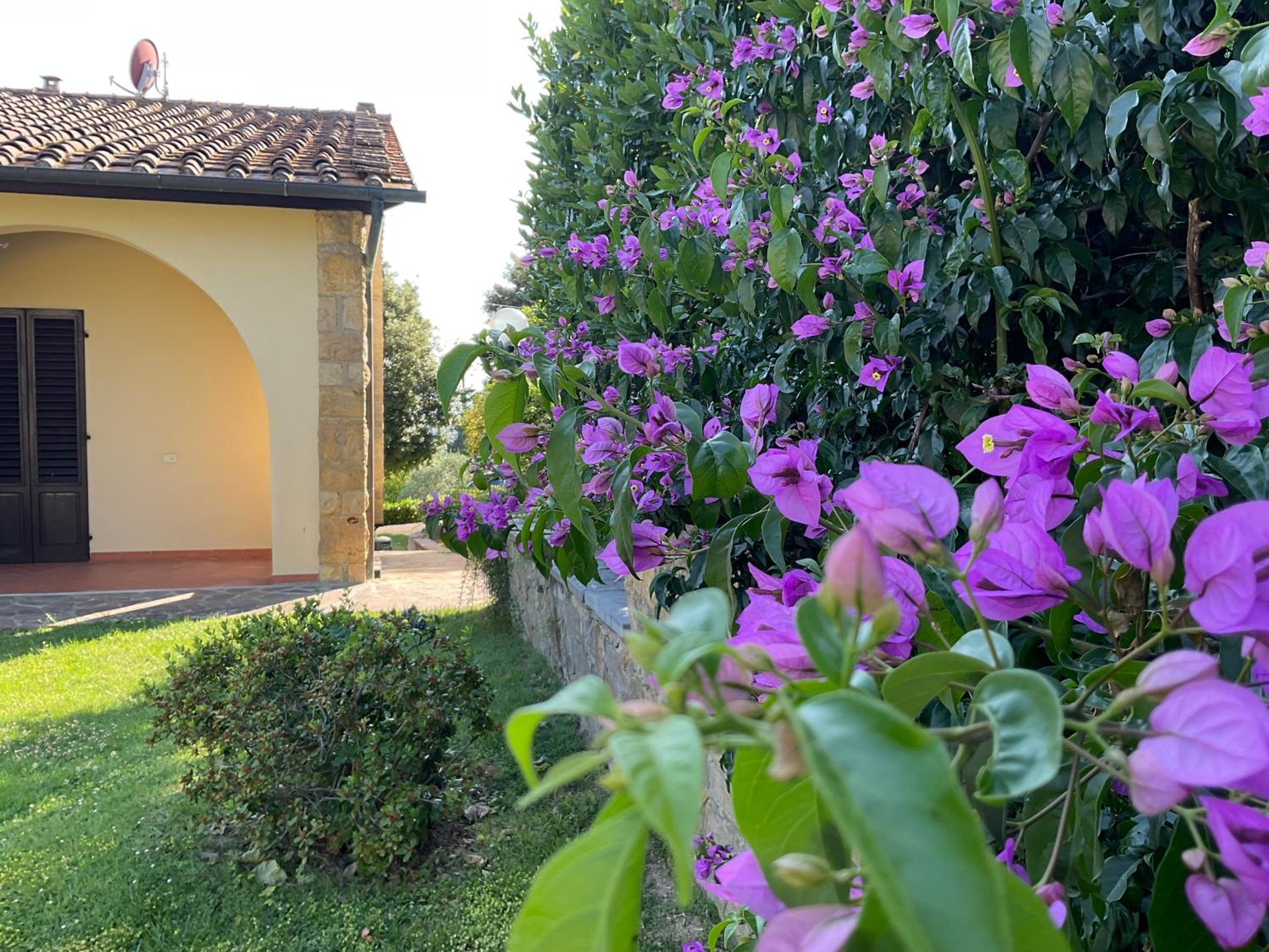 Villa Il Borraccio - Apartments Azalea and Begonia