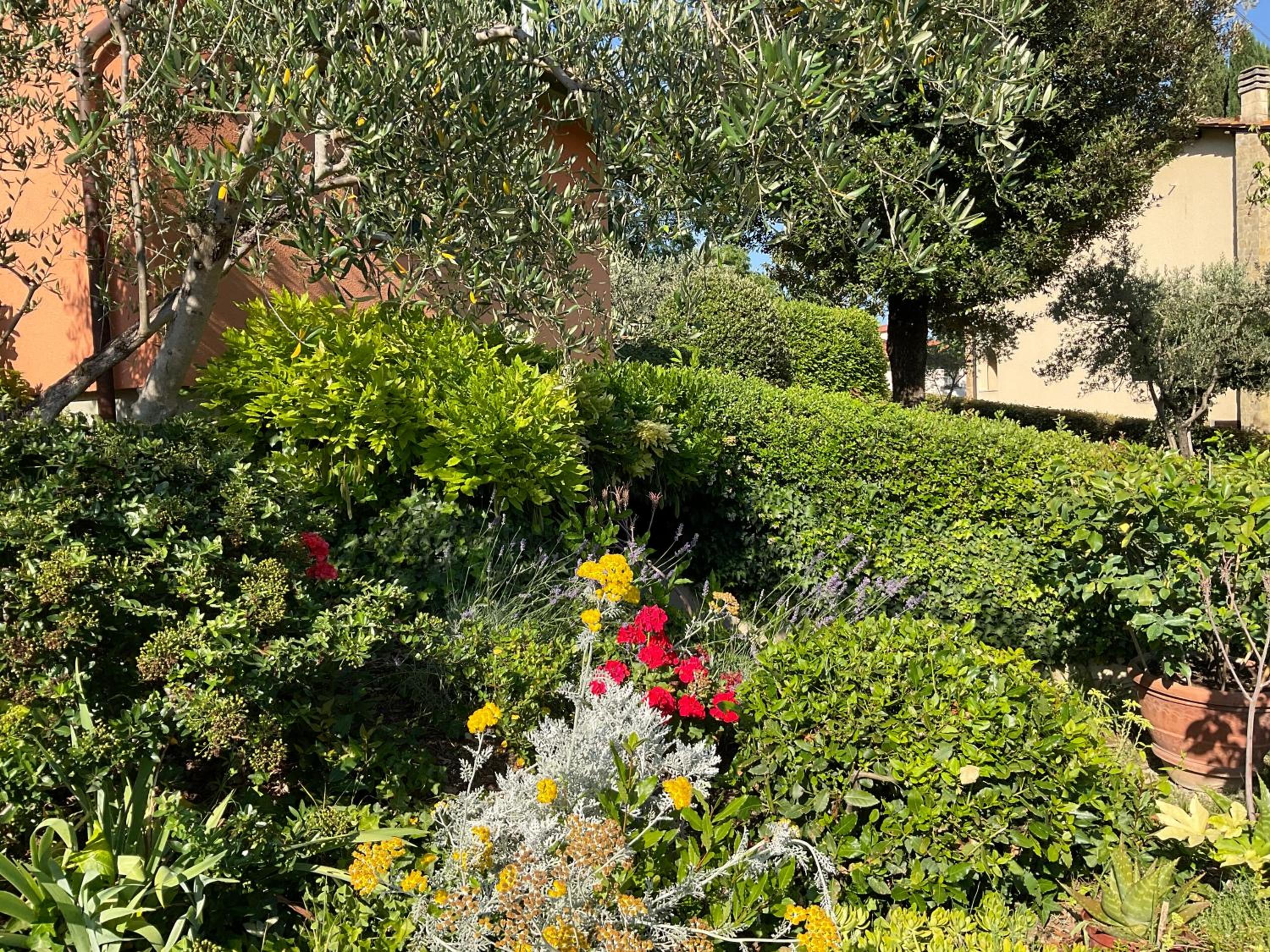 Villa Il Borraccio - Apartments Azalea and Begonia