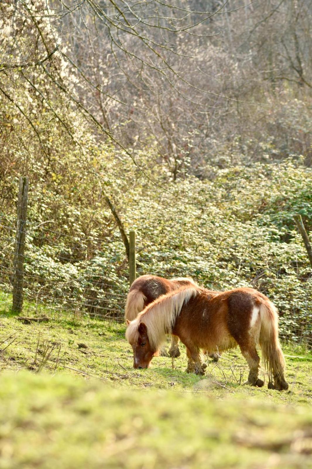 Agriturismo Le Noci
