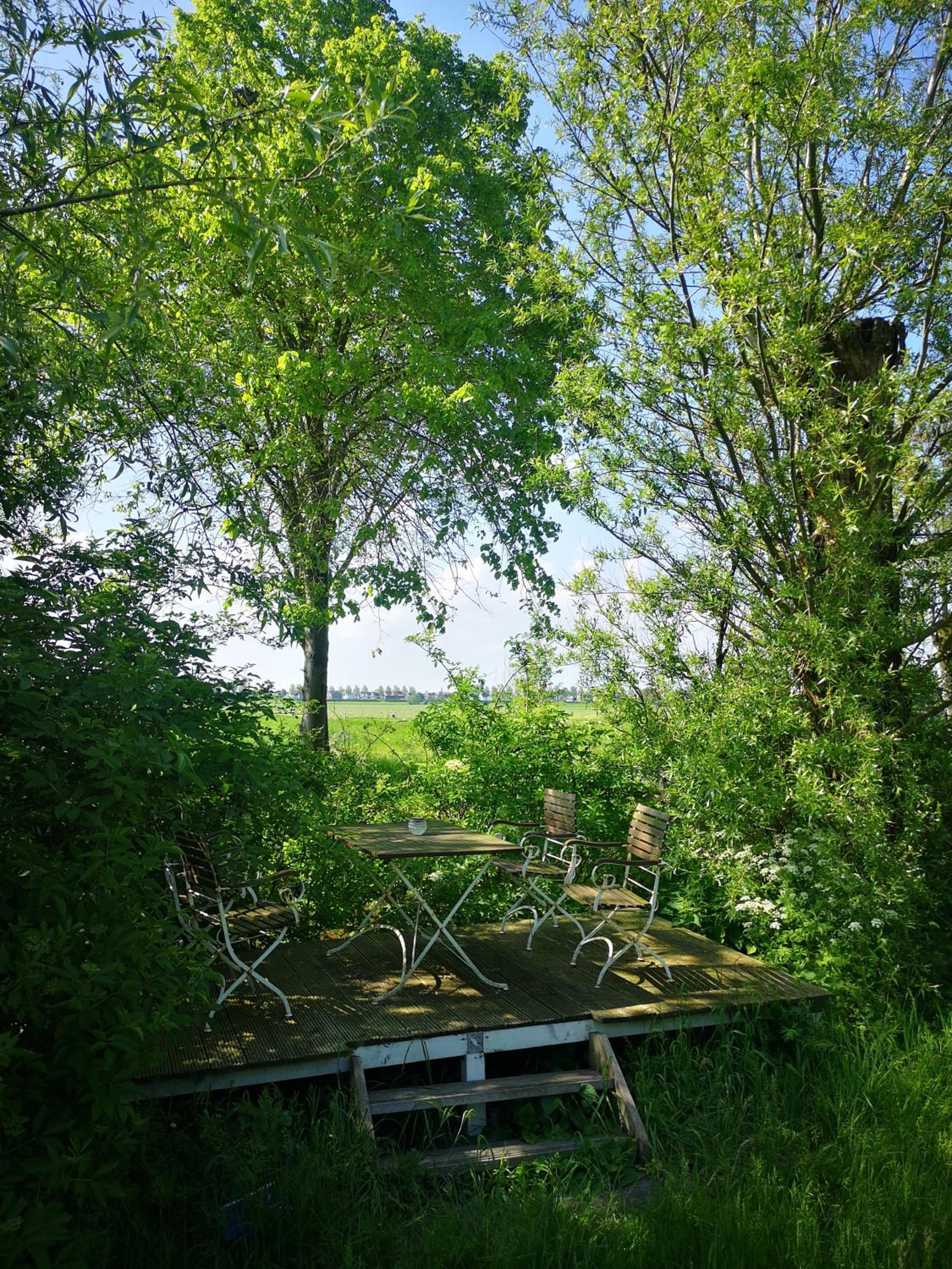 Photo 17