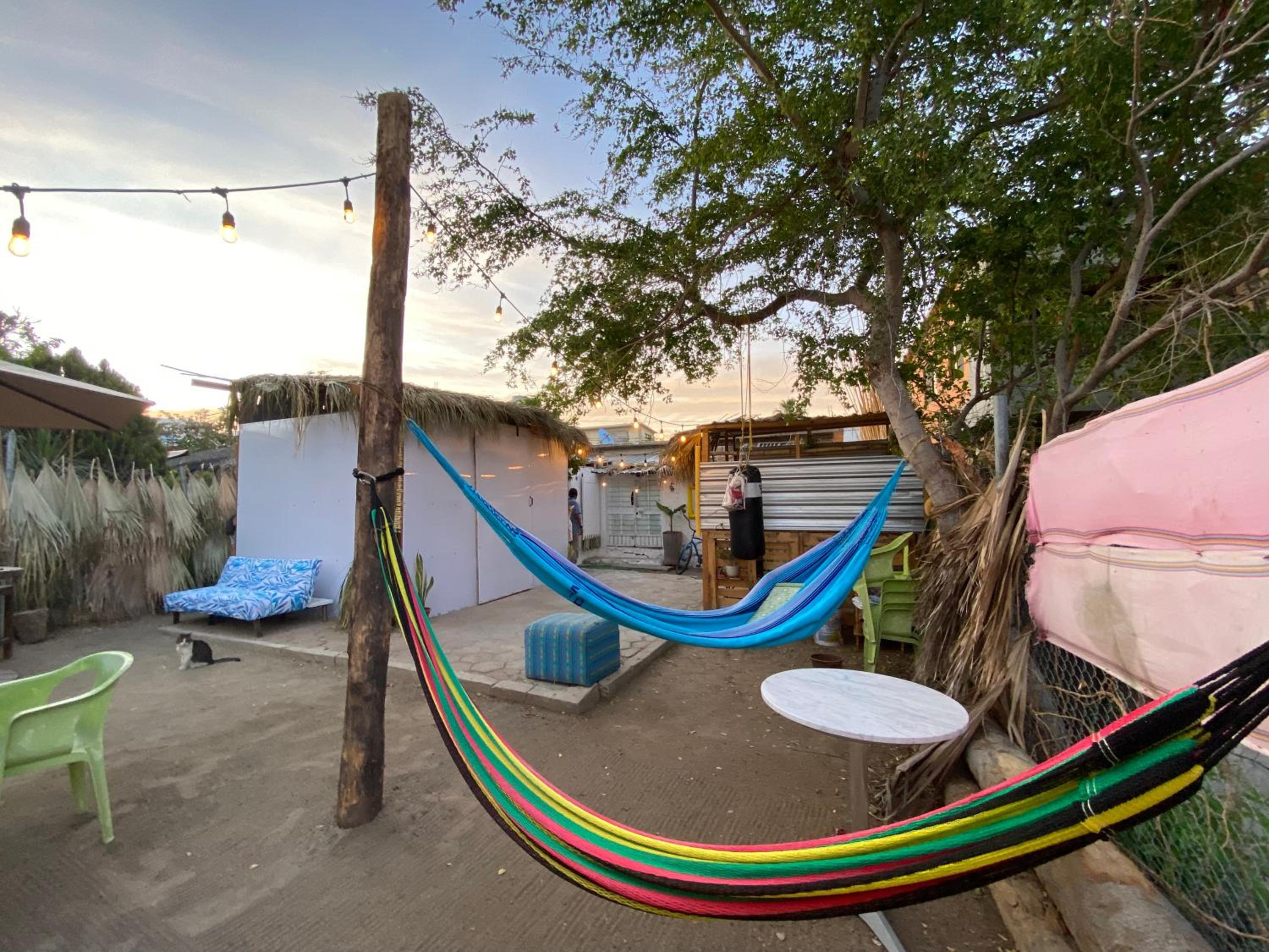 Hotel Aloha Surf Hostel - Image 1