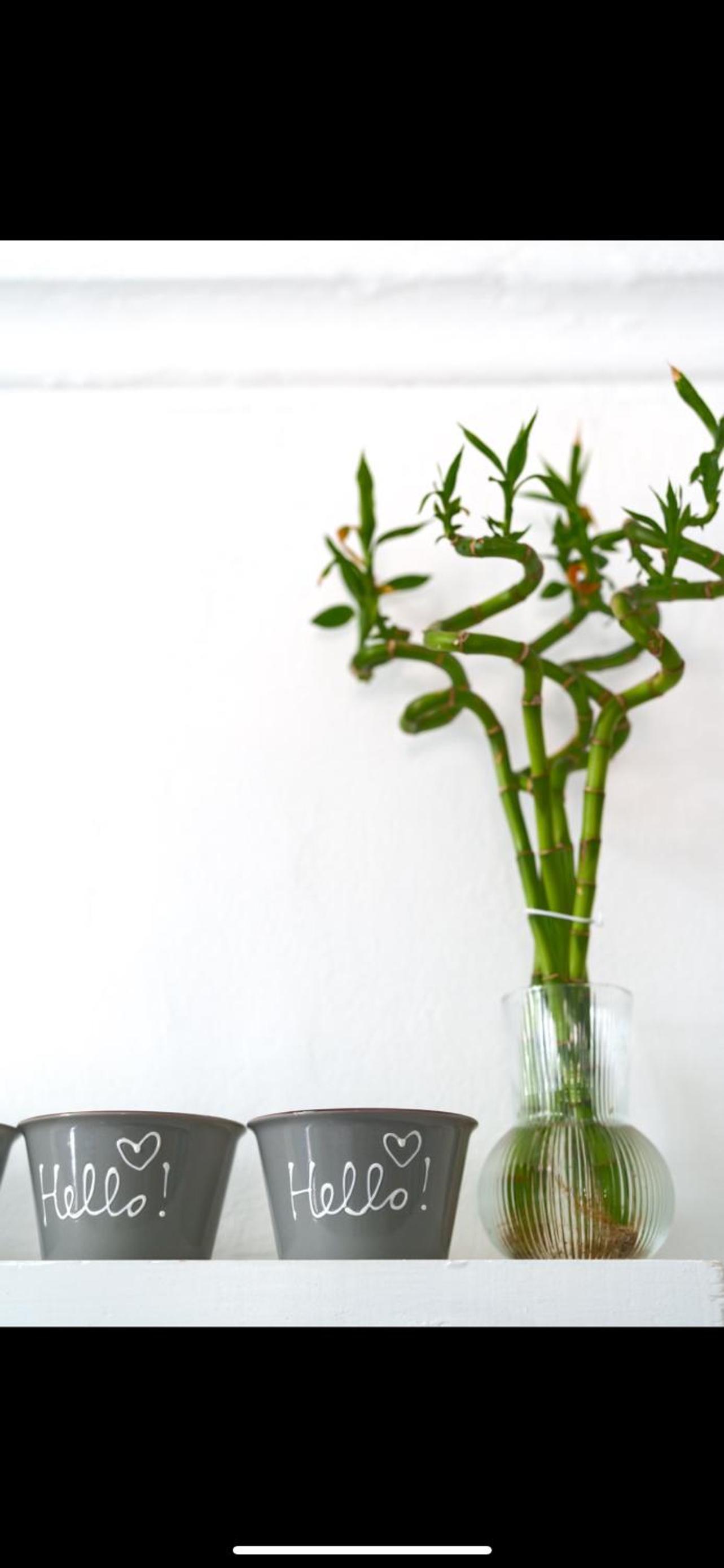 Cycladic traditional house with view photo 4