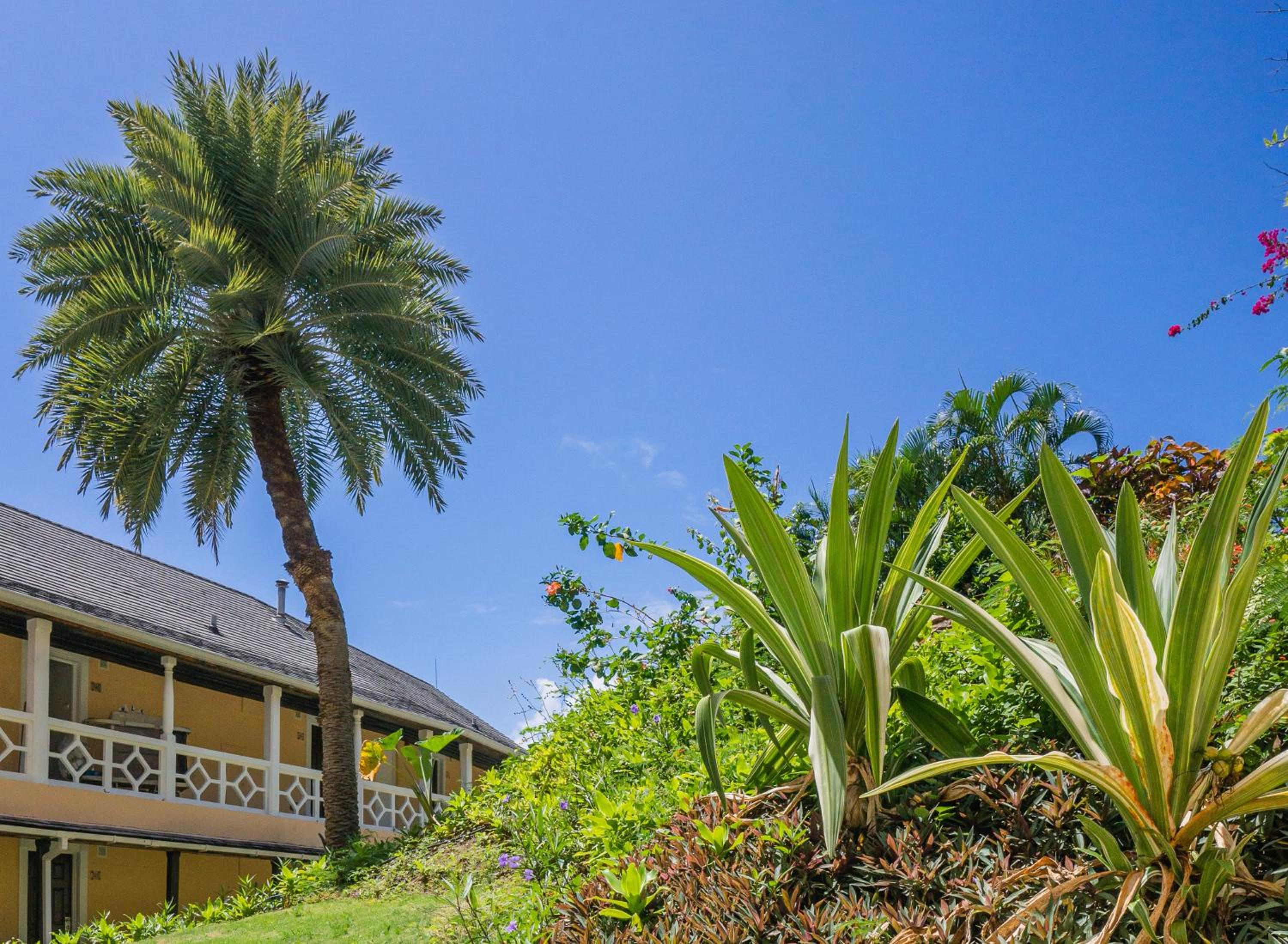 BodyHoliday St Lucia