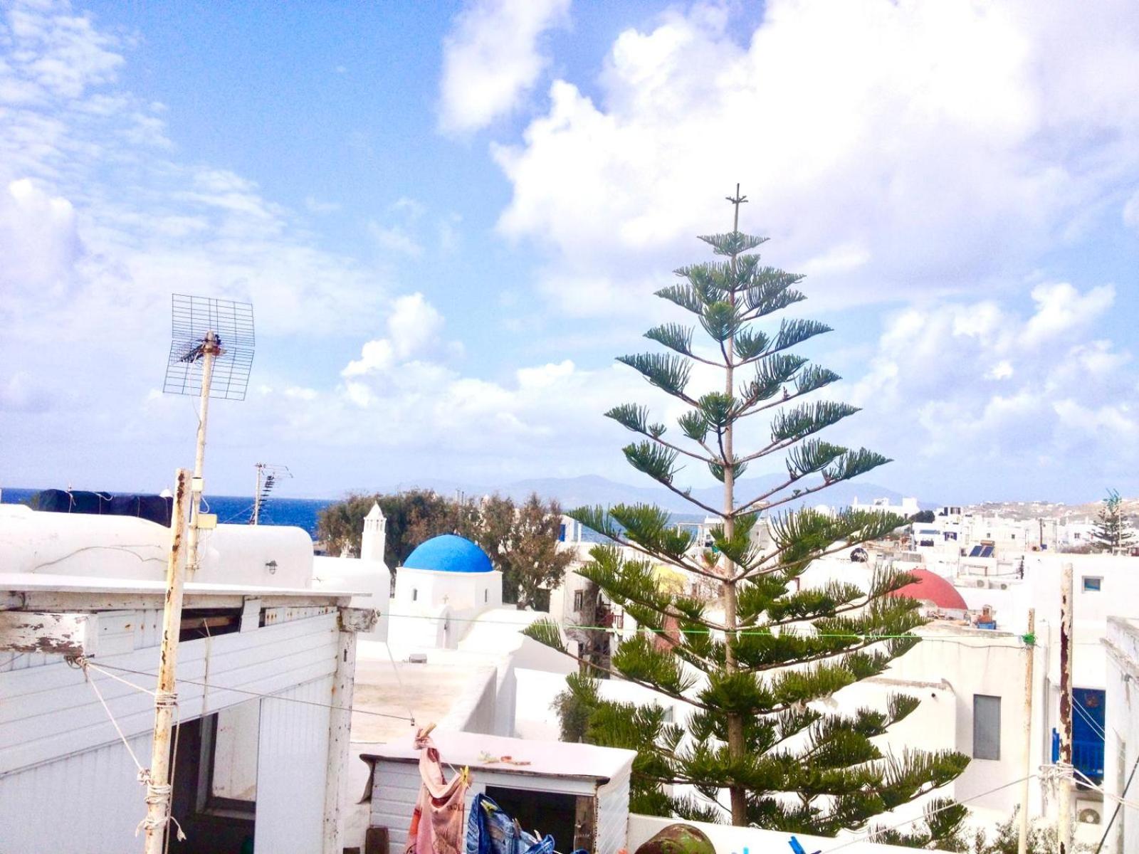 roof