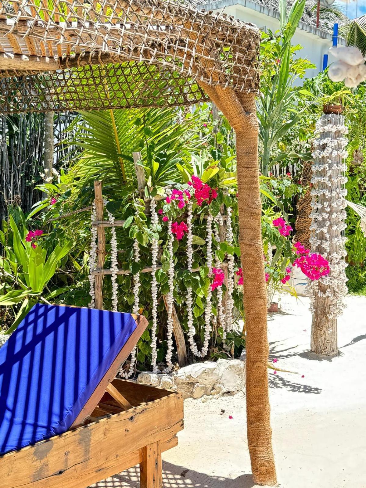 Boheme Zanzibar