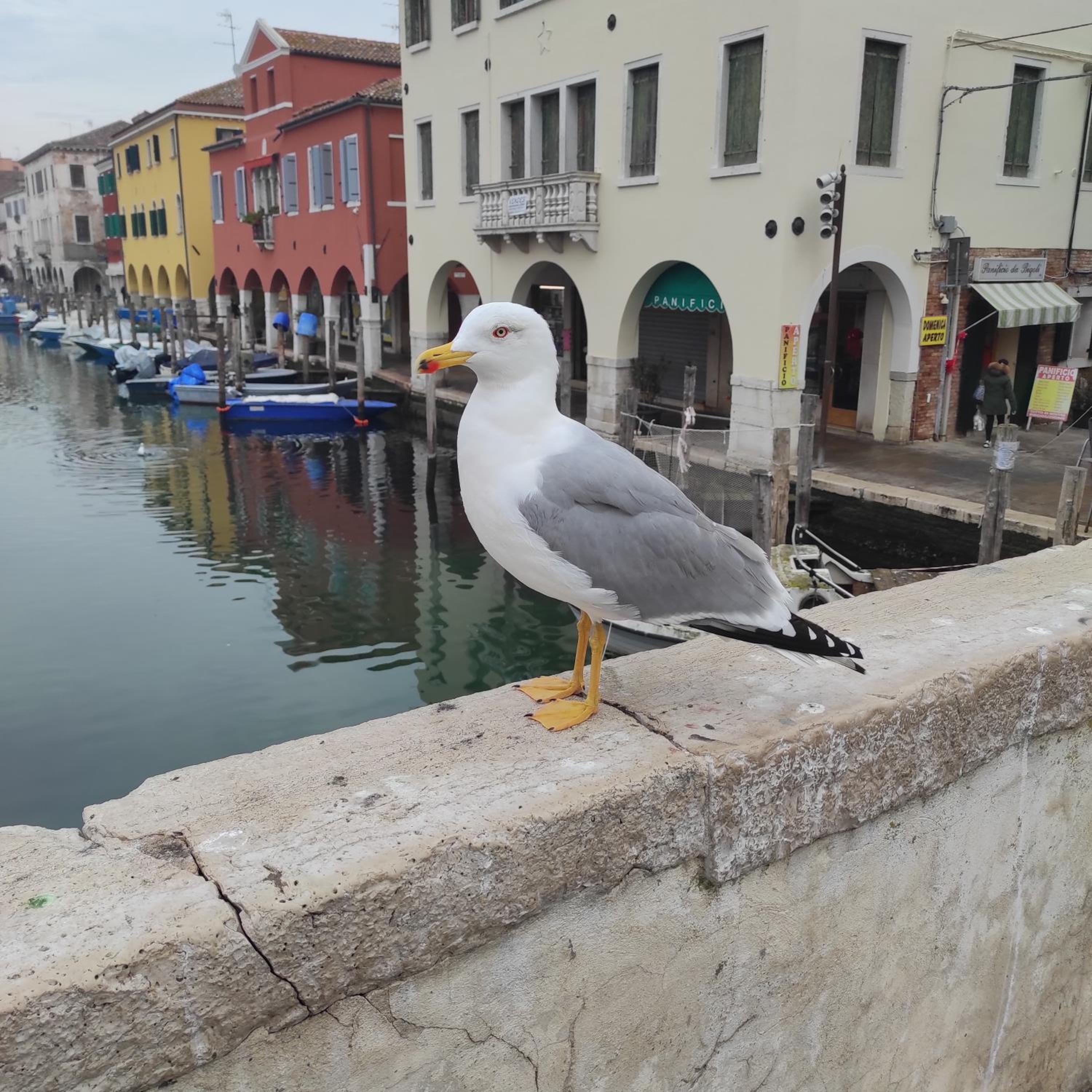 Ca' dell'Angelo, photo 34