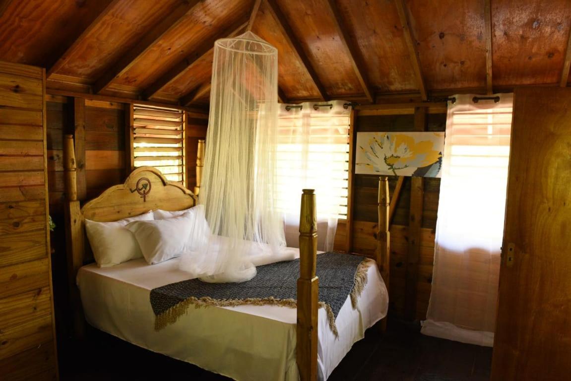 Somali Jungle Eco Lodge and Cabins