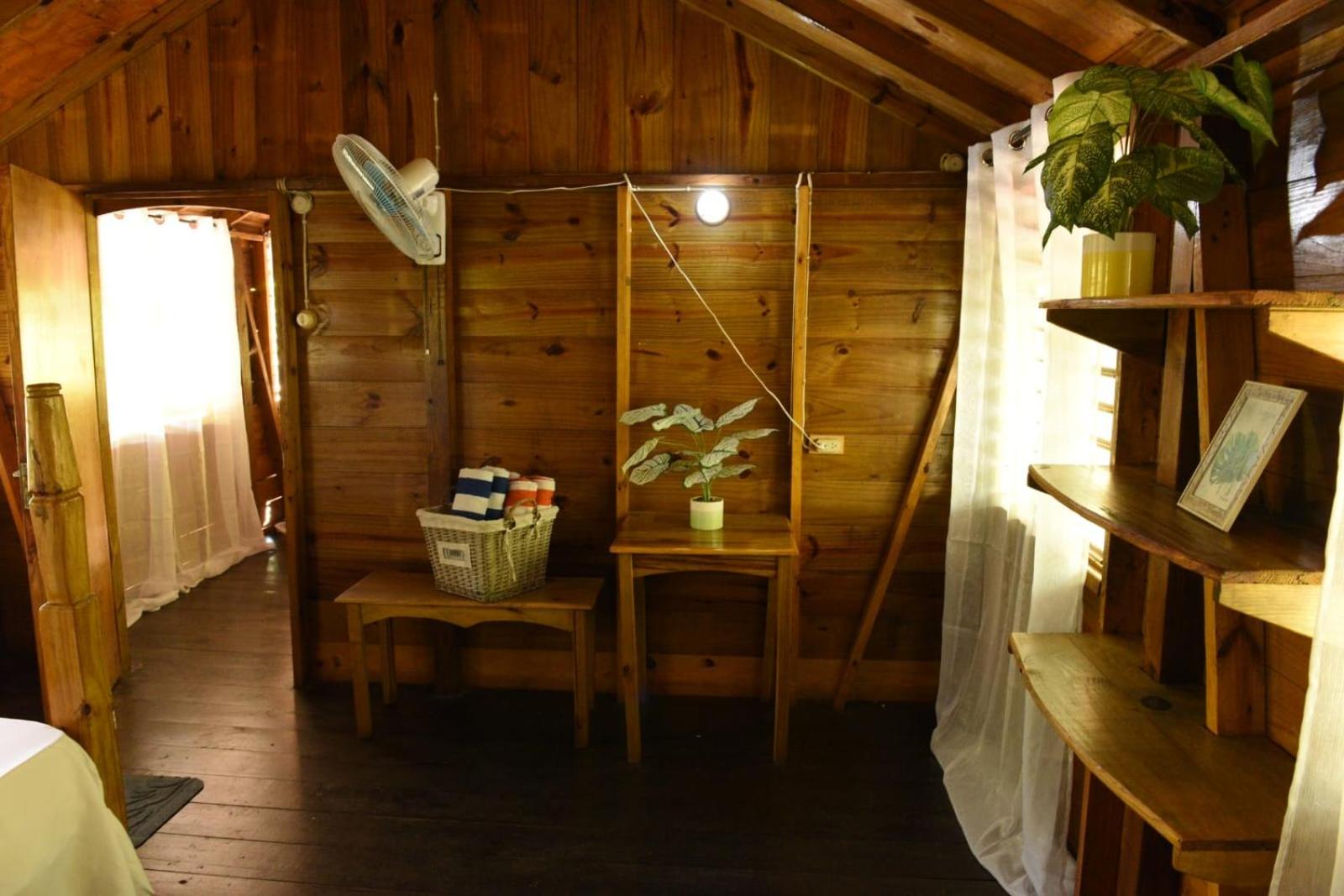 Somali Jungle Eco Lodge and Cabins
