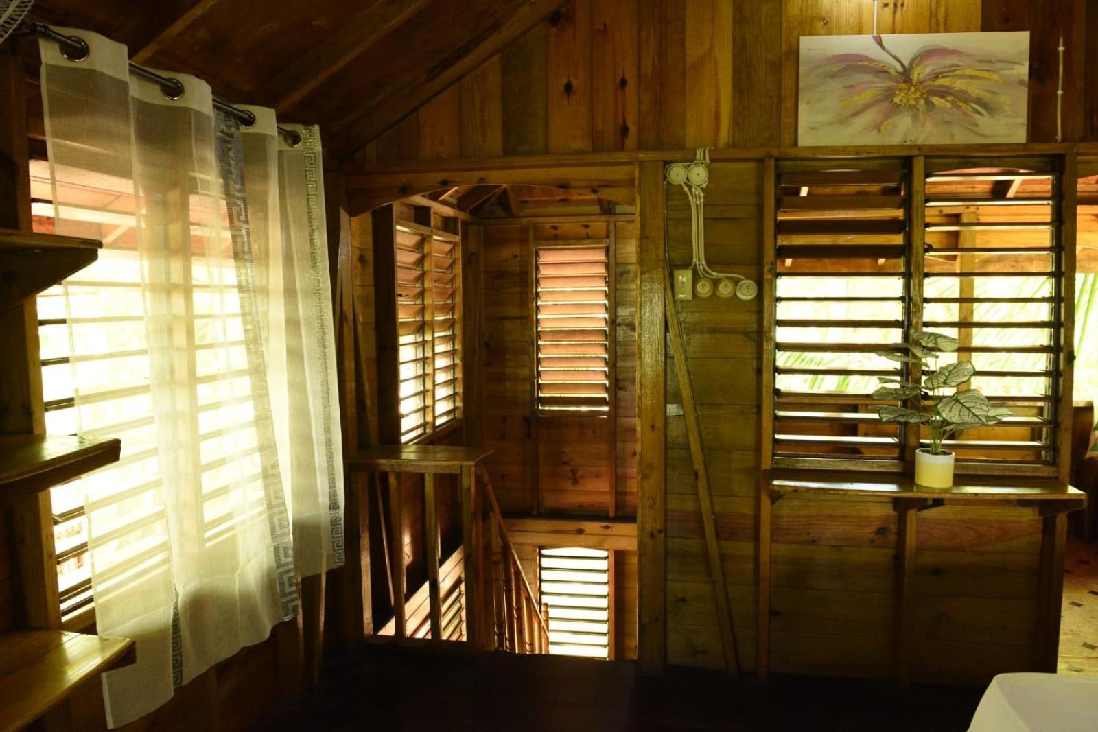 Somali Jungle Eco Lodge and Cabins