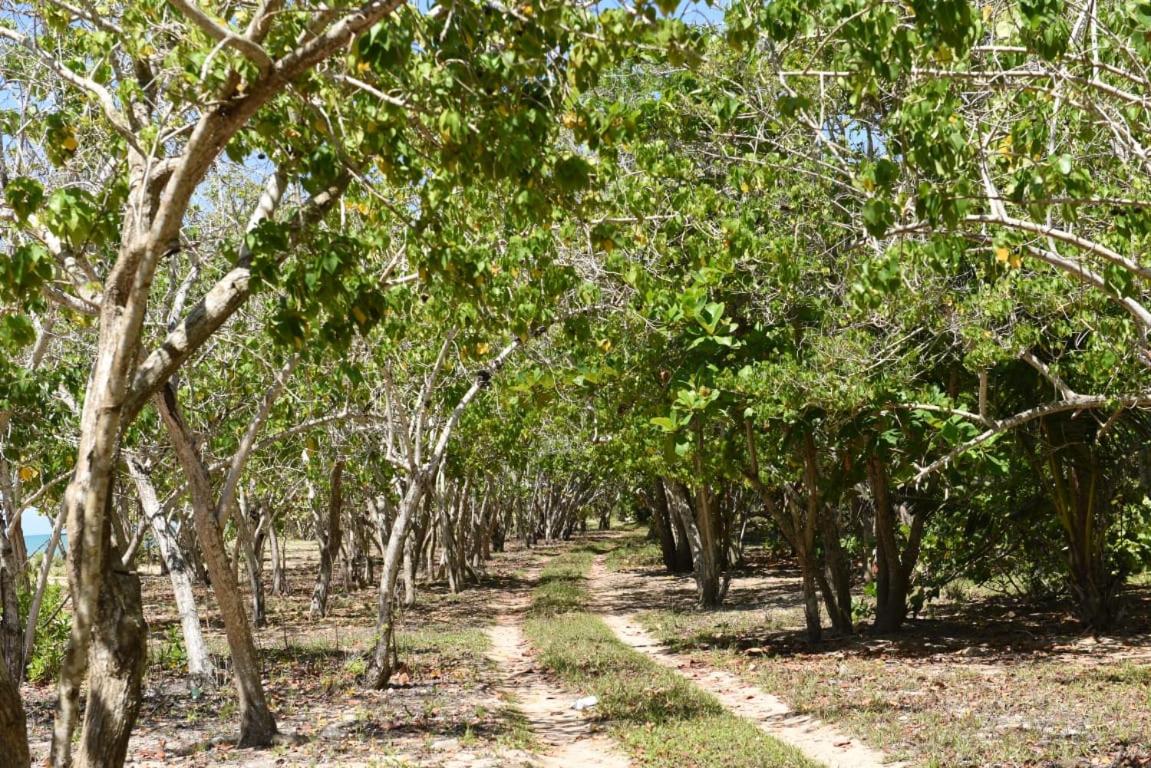 Somali Jungle Eco Lodge and Cabins