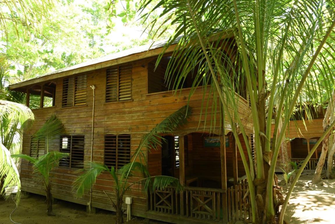 Somali Jungle Eco Lodge and Cabins