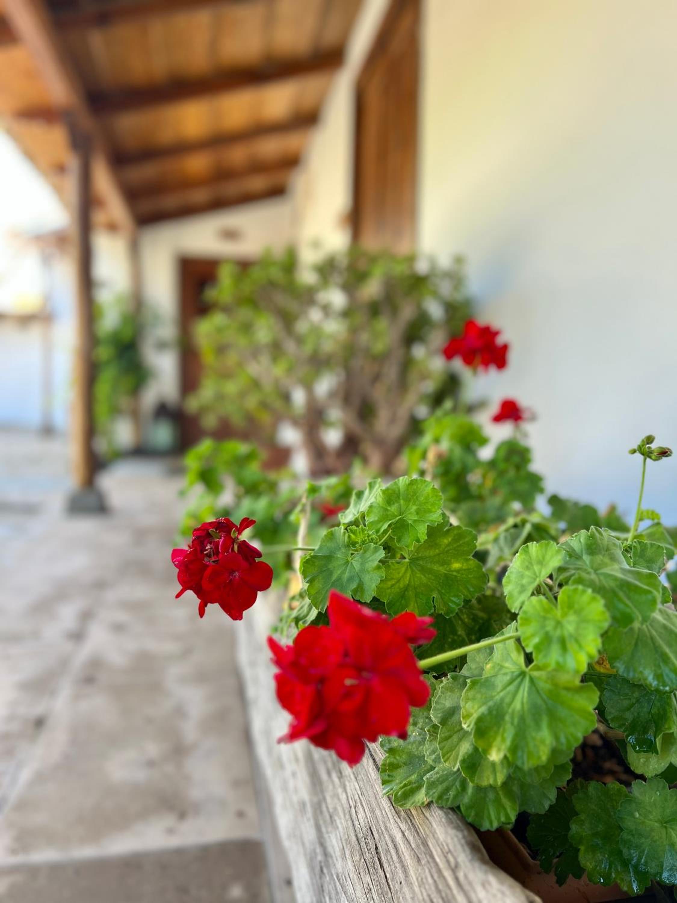 La Paredita Casa Taoro
