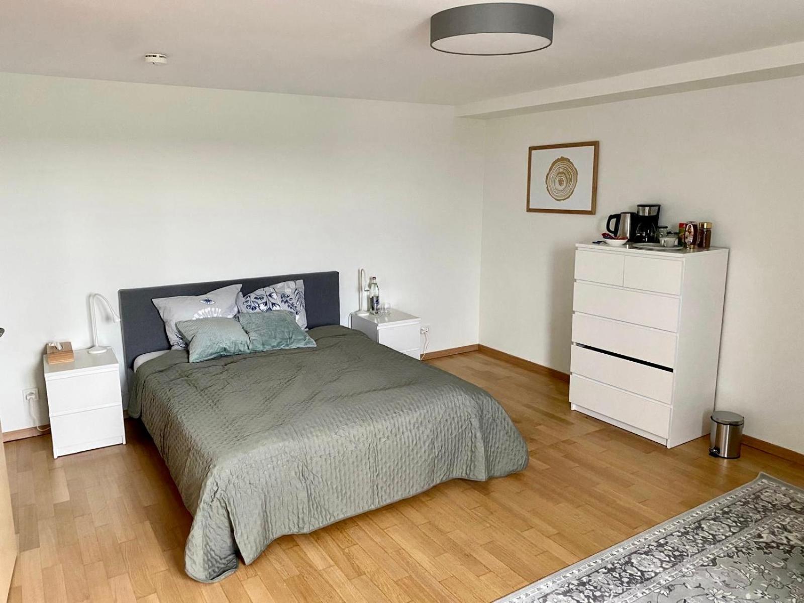 Cosy Room in Remich