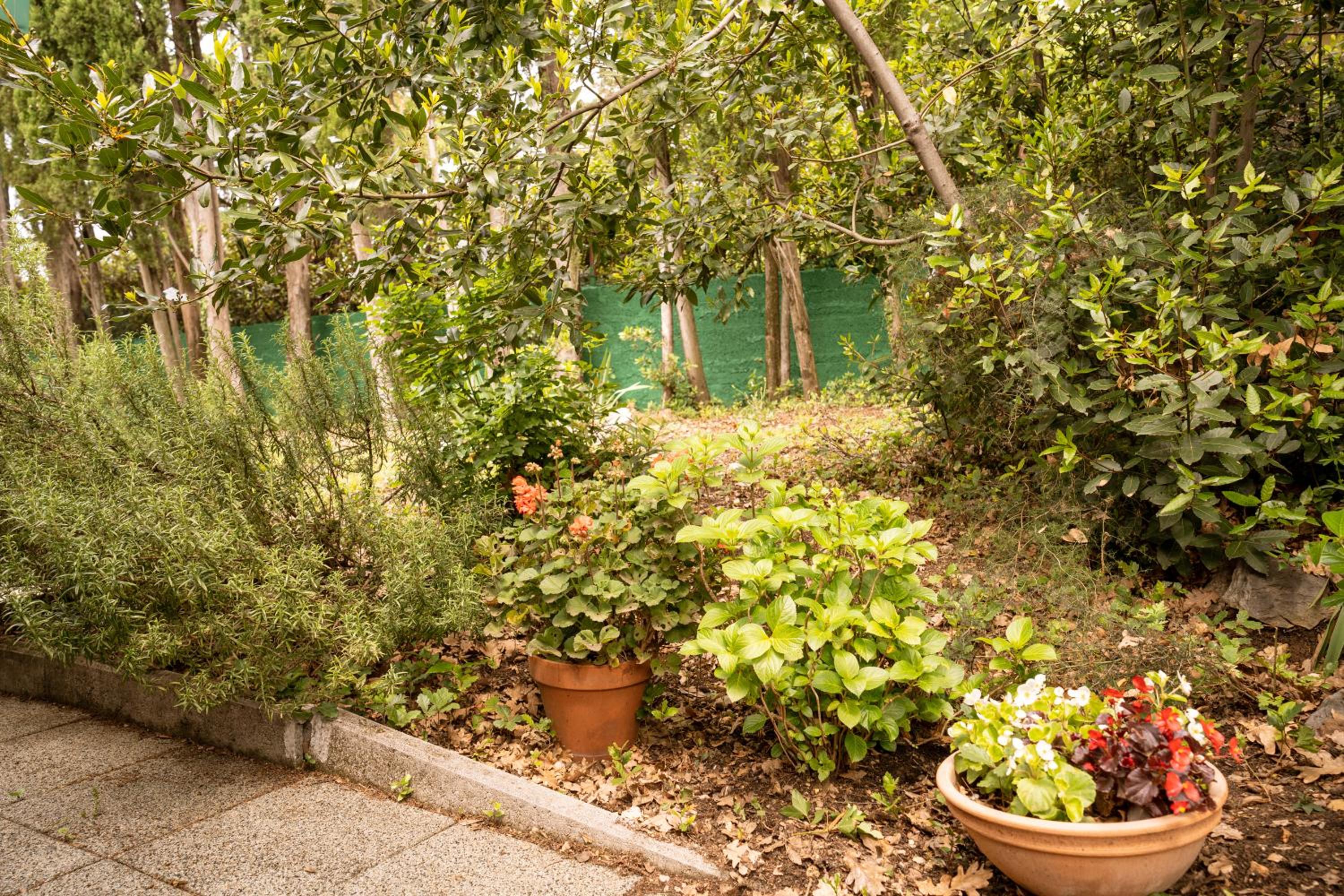 Photo 46