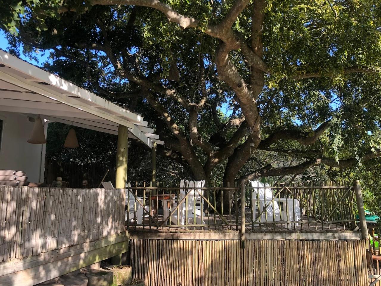 The Riverdeck Accommodation and Backpackers