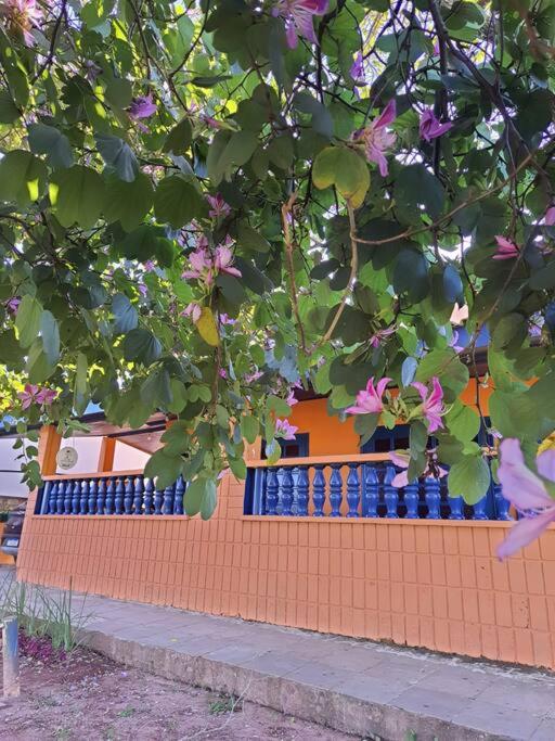 Rancho do Roque Bravo (Riviera de Sta. Cristina XIII)