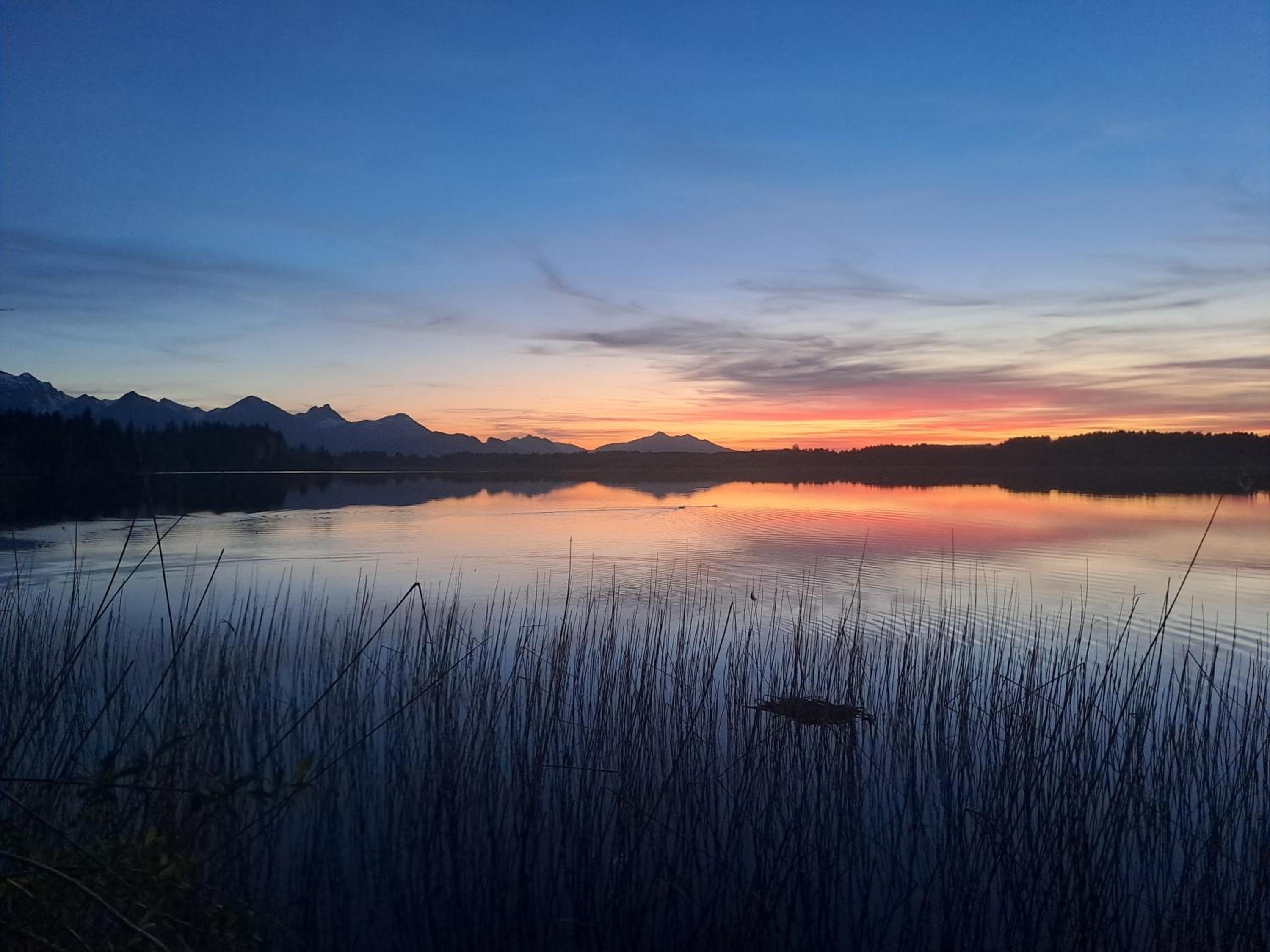 Allgäu-Genuss
