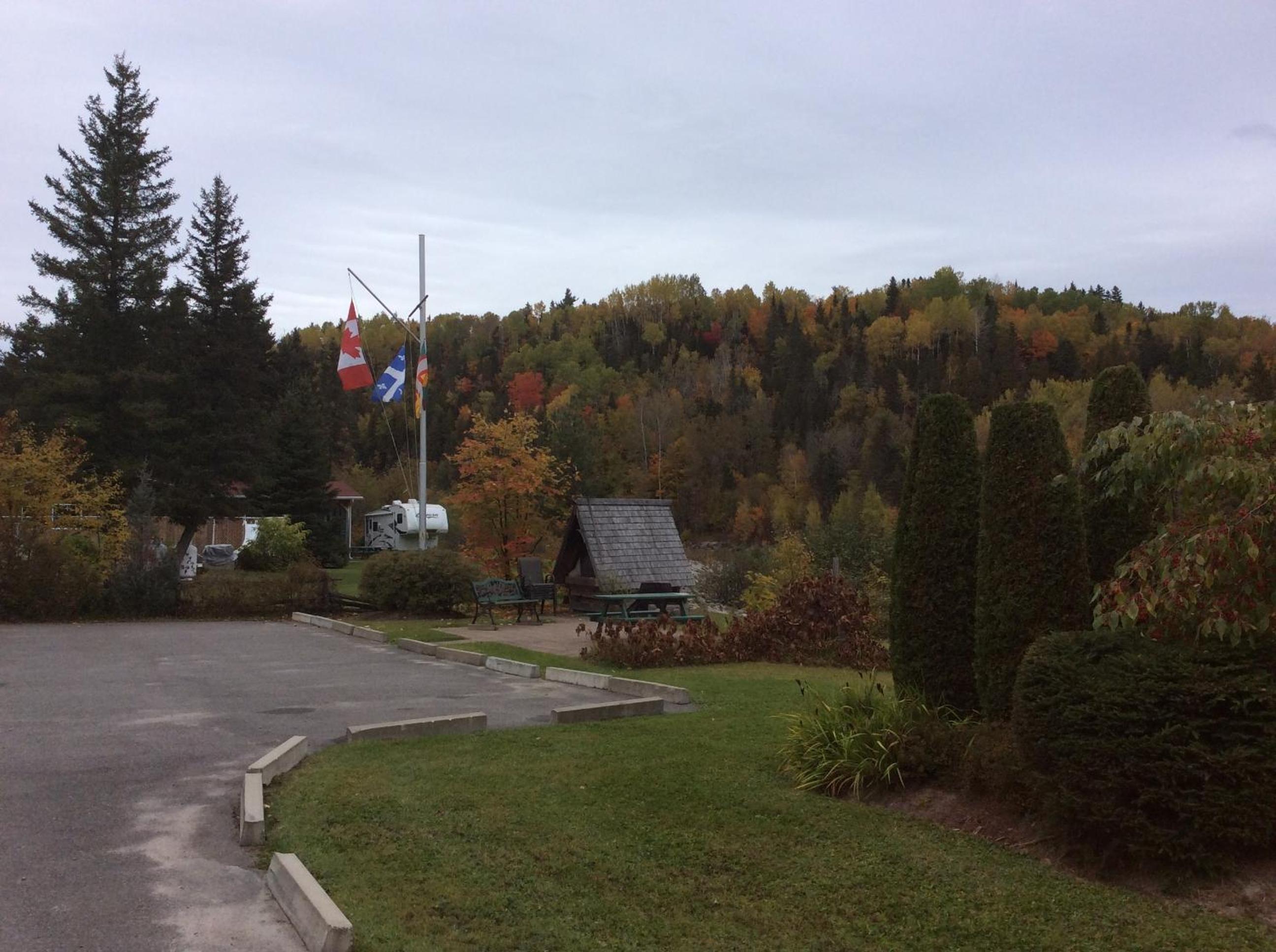 Photo 41