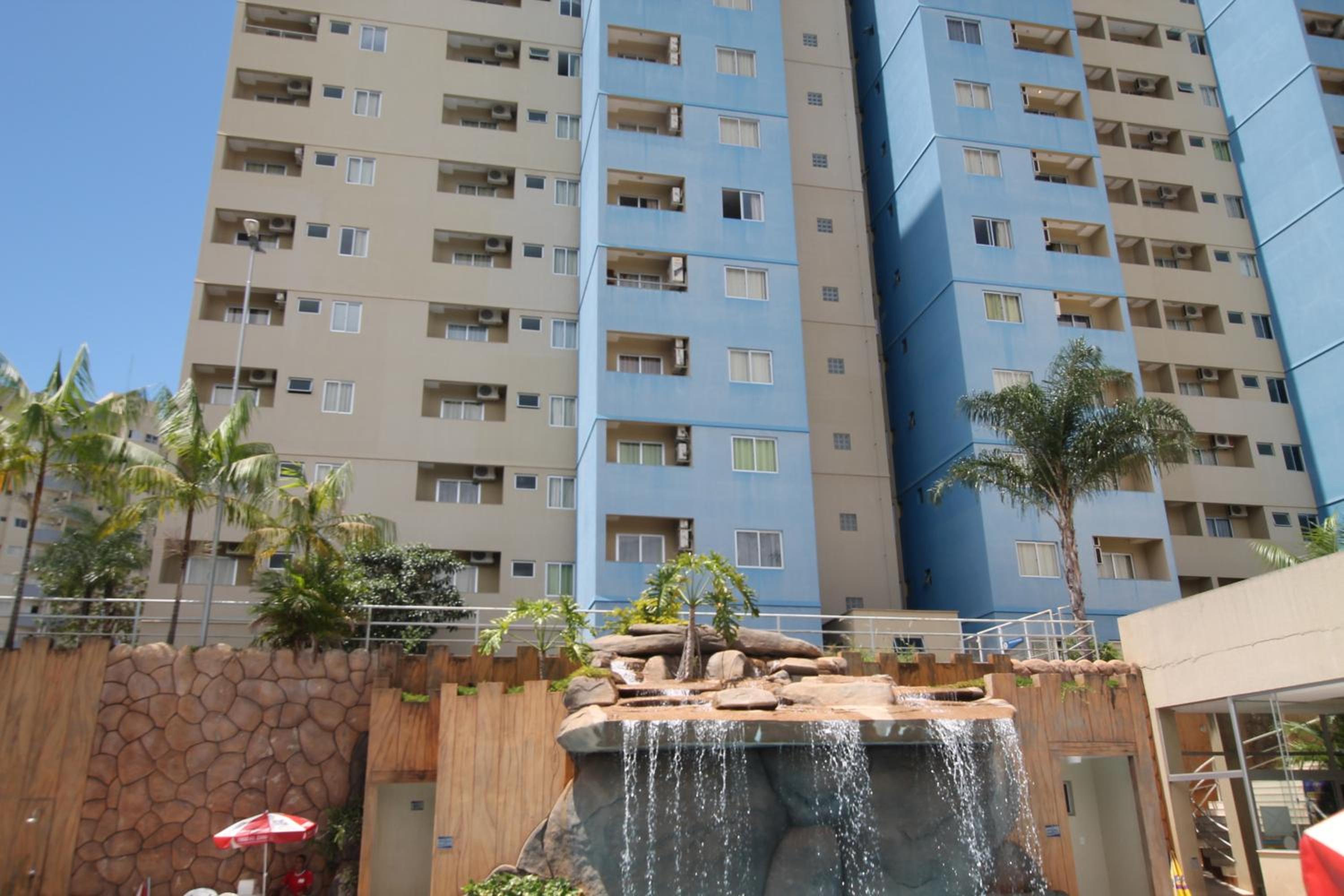 GOLDEN DOLPHIN Click Caldas