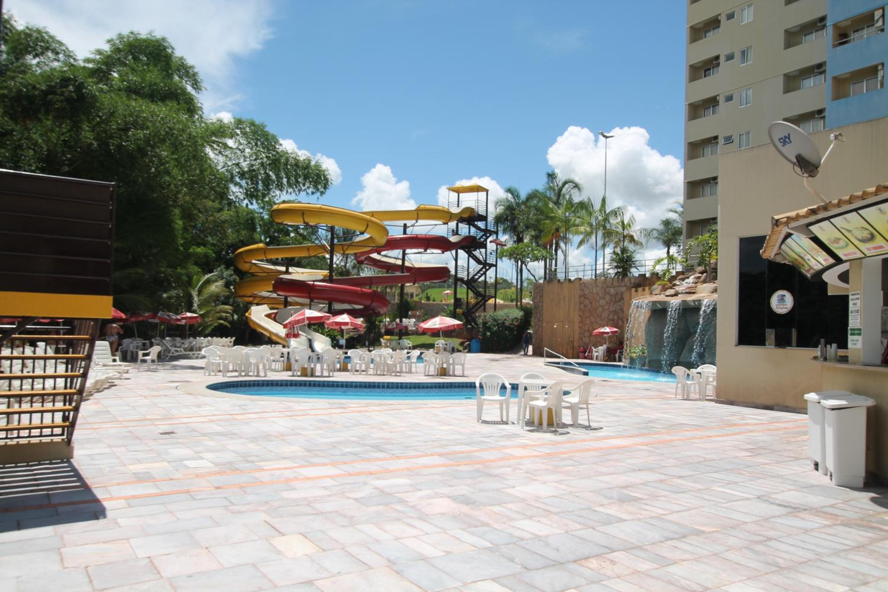 GOLDEN DOLPHIN Click Caldas
