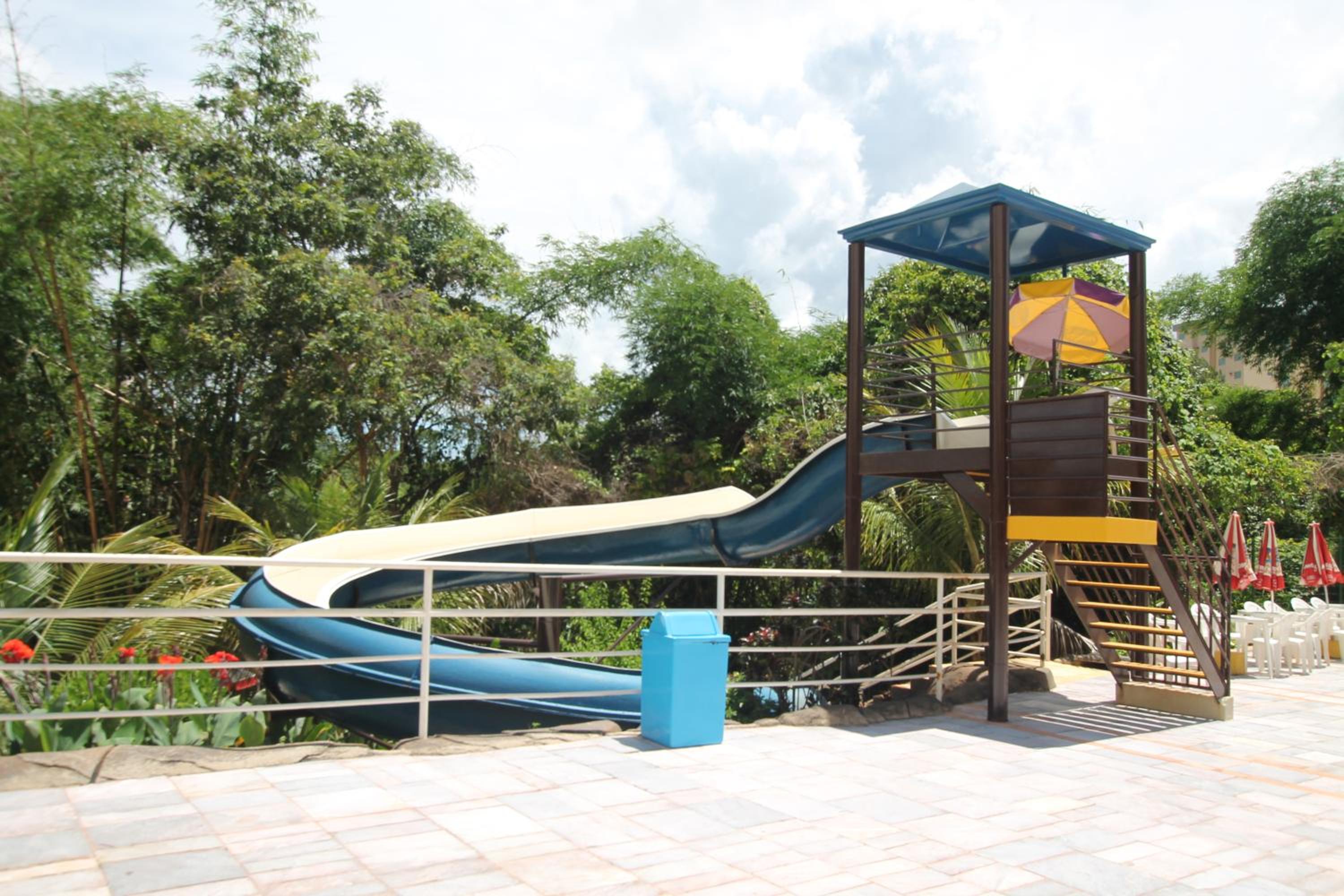 GOLDEN DOLPHIN Click Caldas