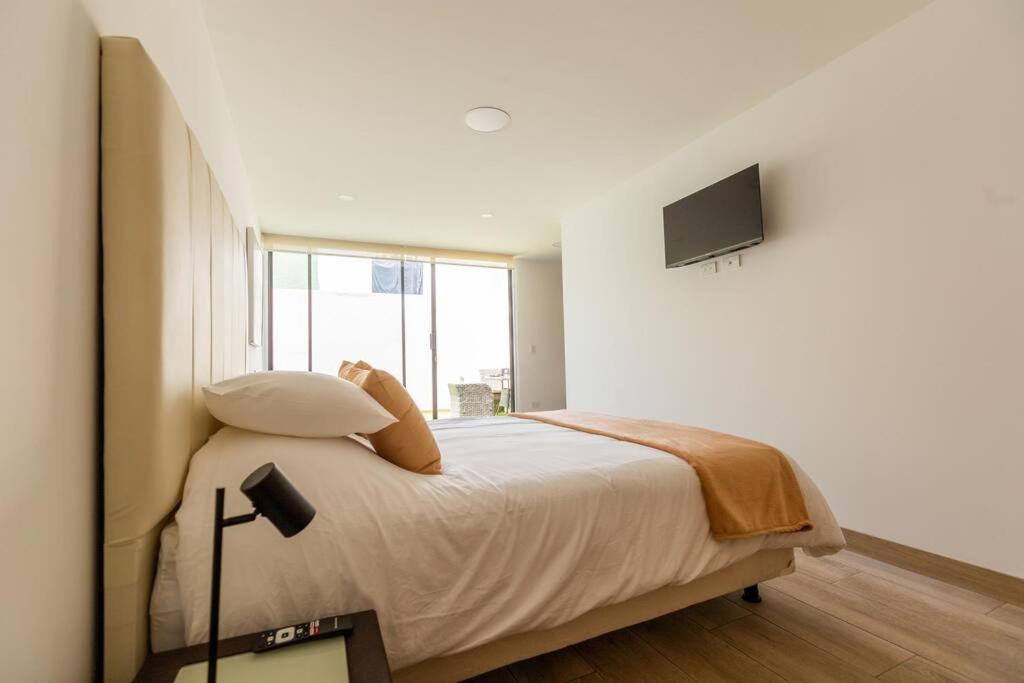 Alba Garden Suite