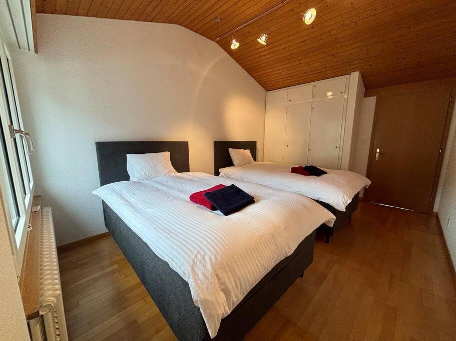 Garden Park Apartment