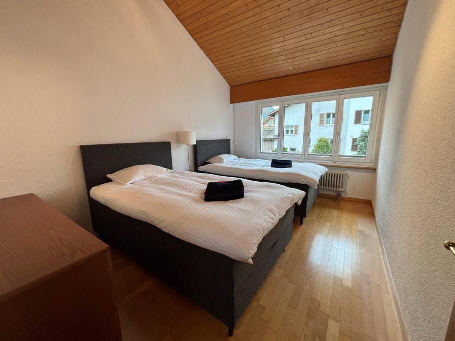Garden Park Apartment