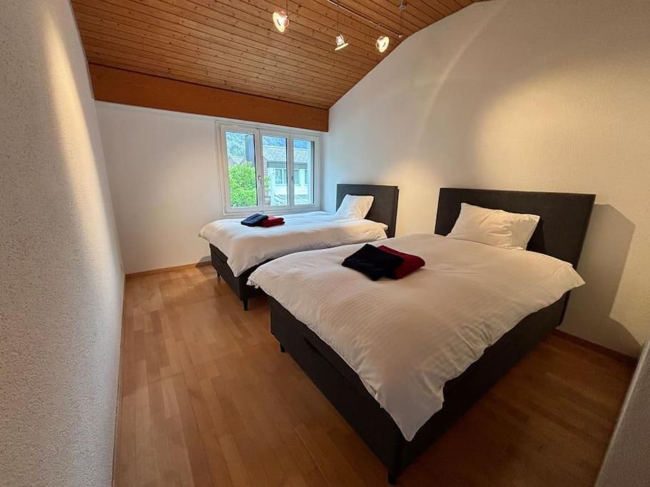 Garden Park Apartment