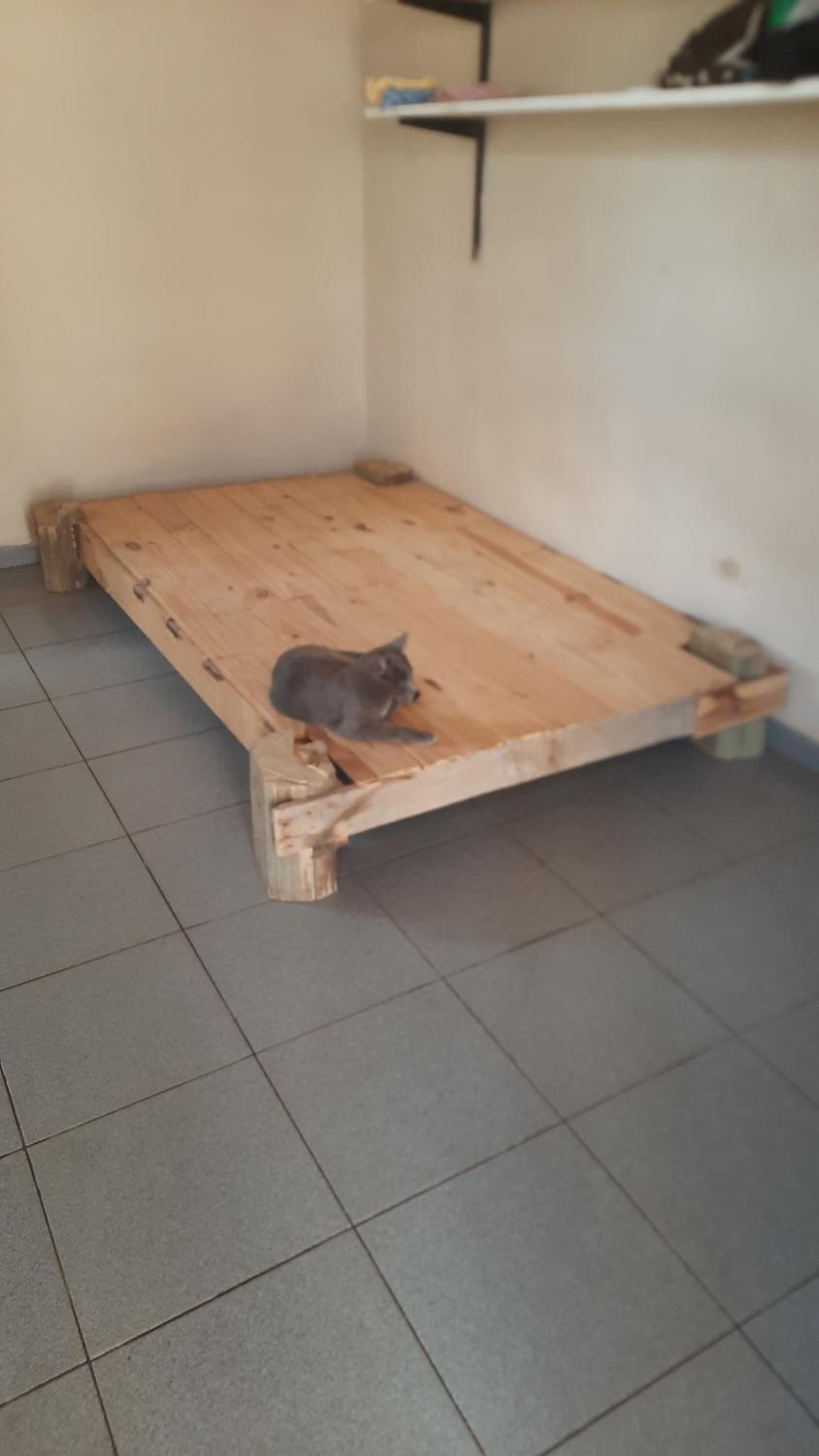 Casita en el monte