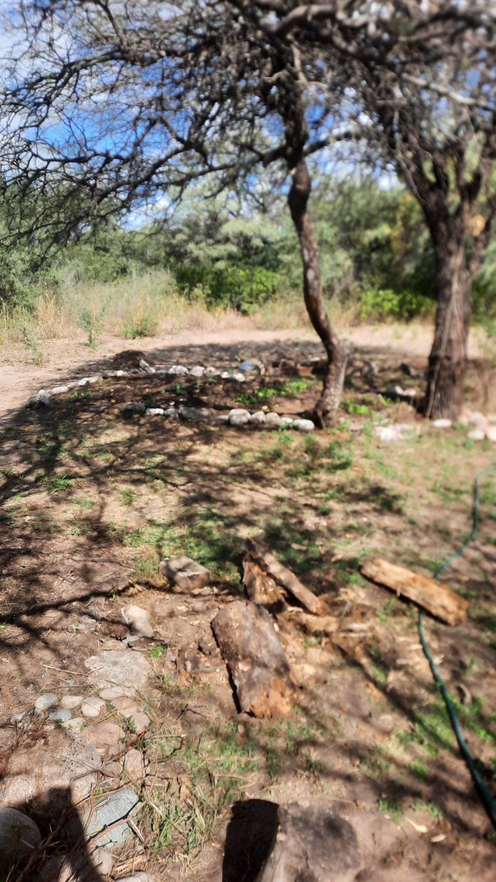 Casita en el monte