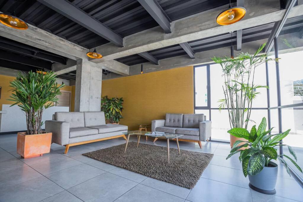 Alba Rooftop Suite