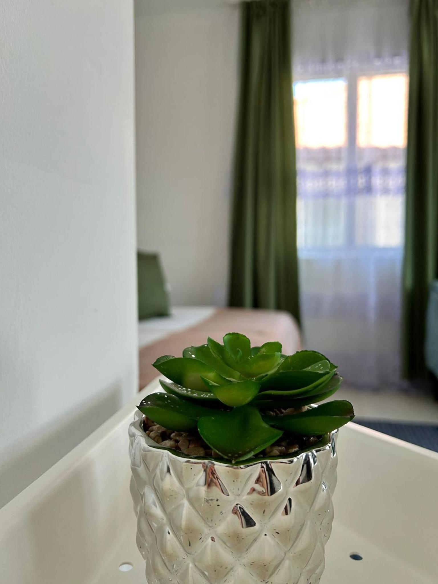 Vilele Bianca view 3