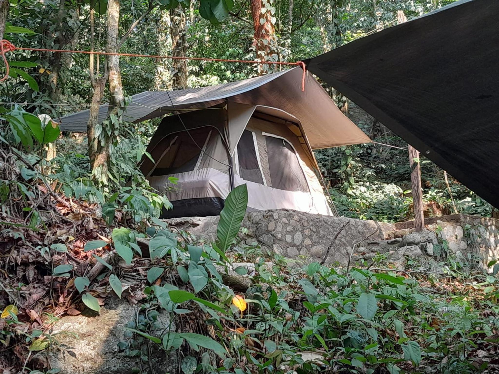 MOTMOT HOSTEL