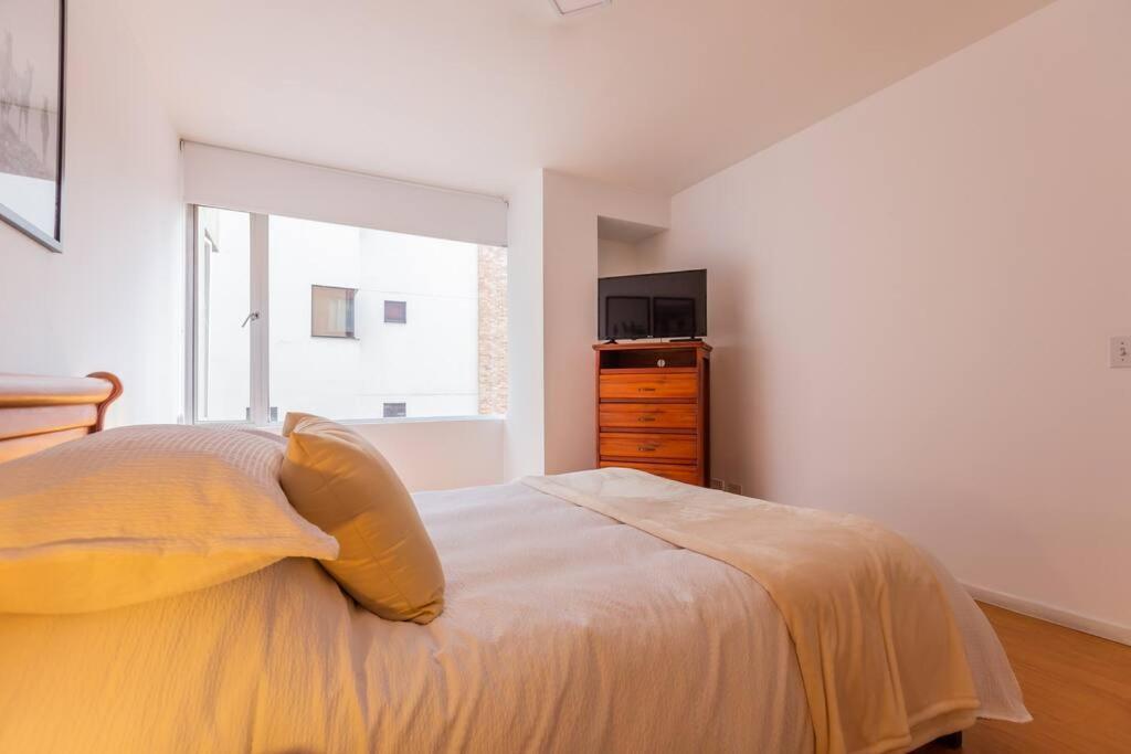 Savanna Suite Rep Salvador