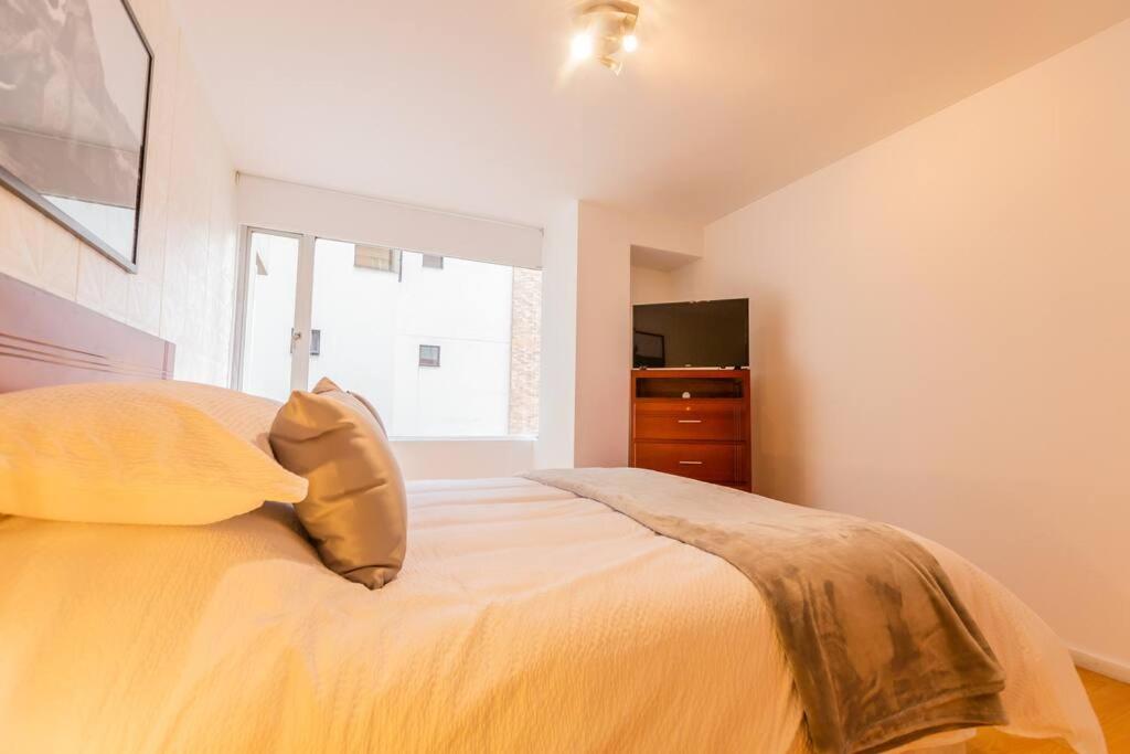 Oasis Suite Rep Salvador