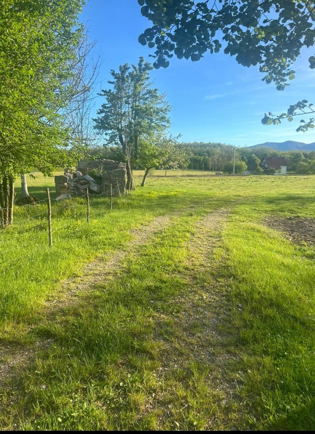Photo 43