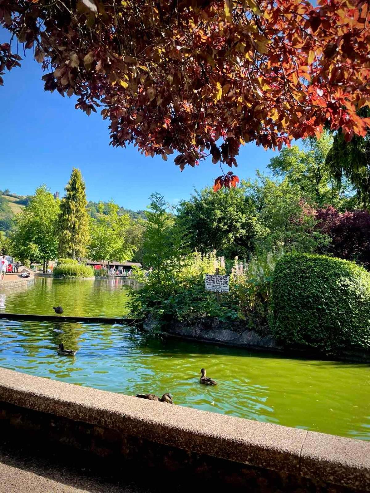 Top floor 1BR apartment central Matlock