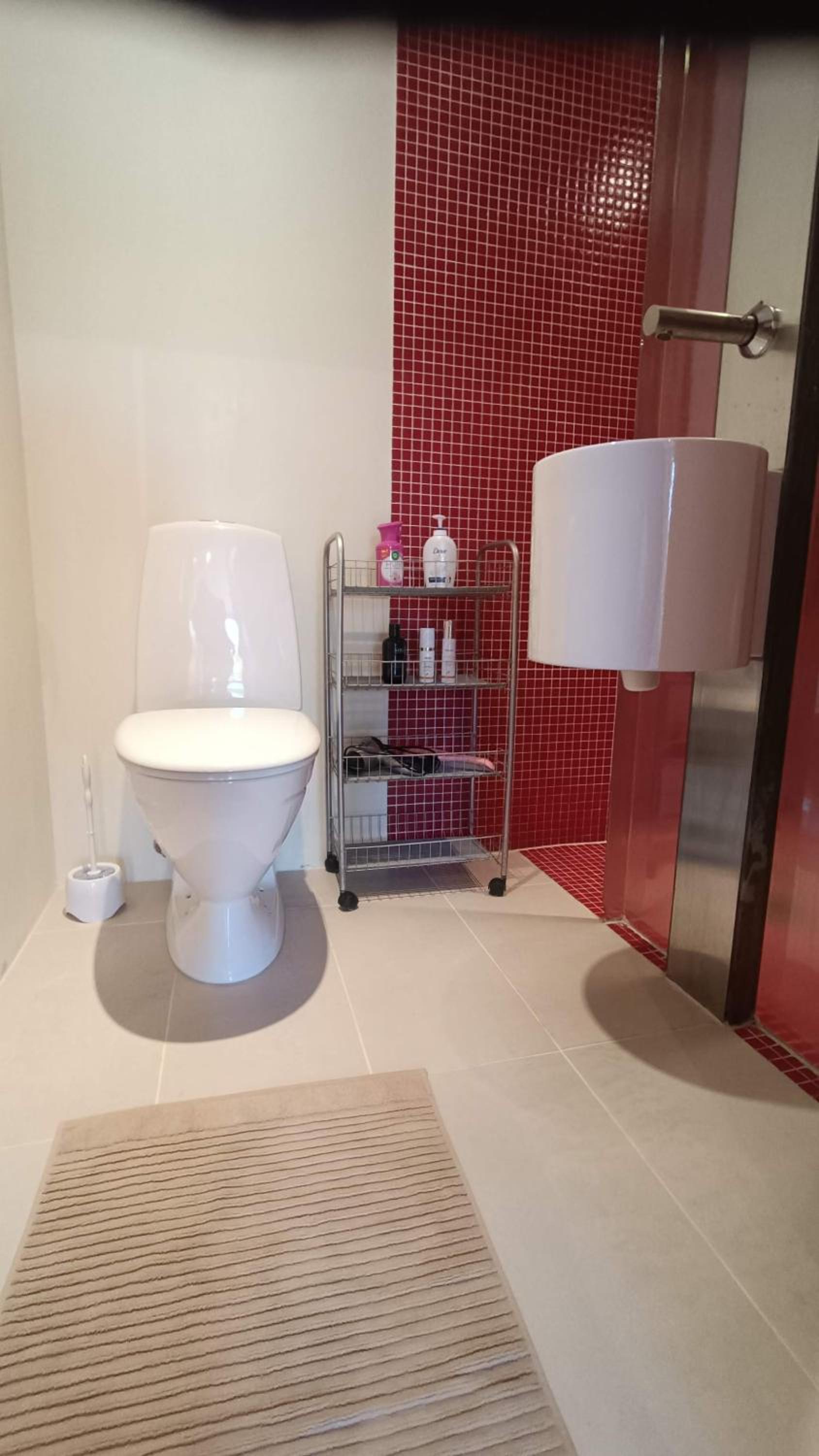 Papli Holiday Studio