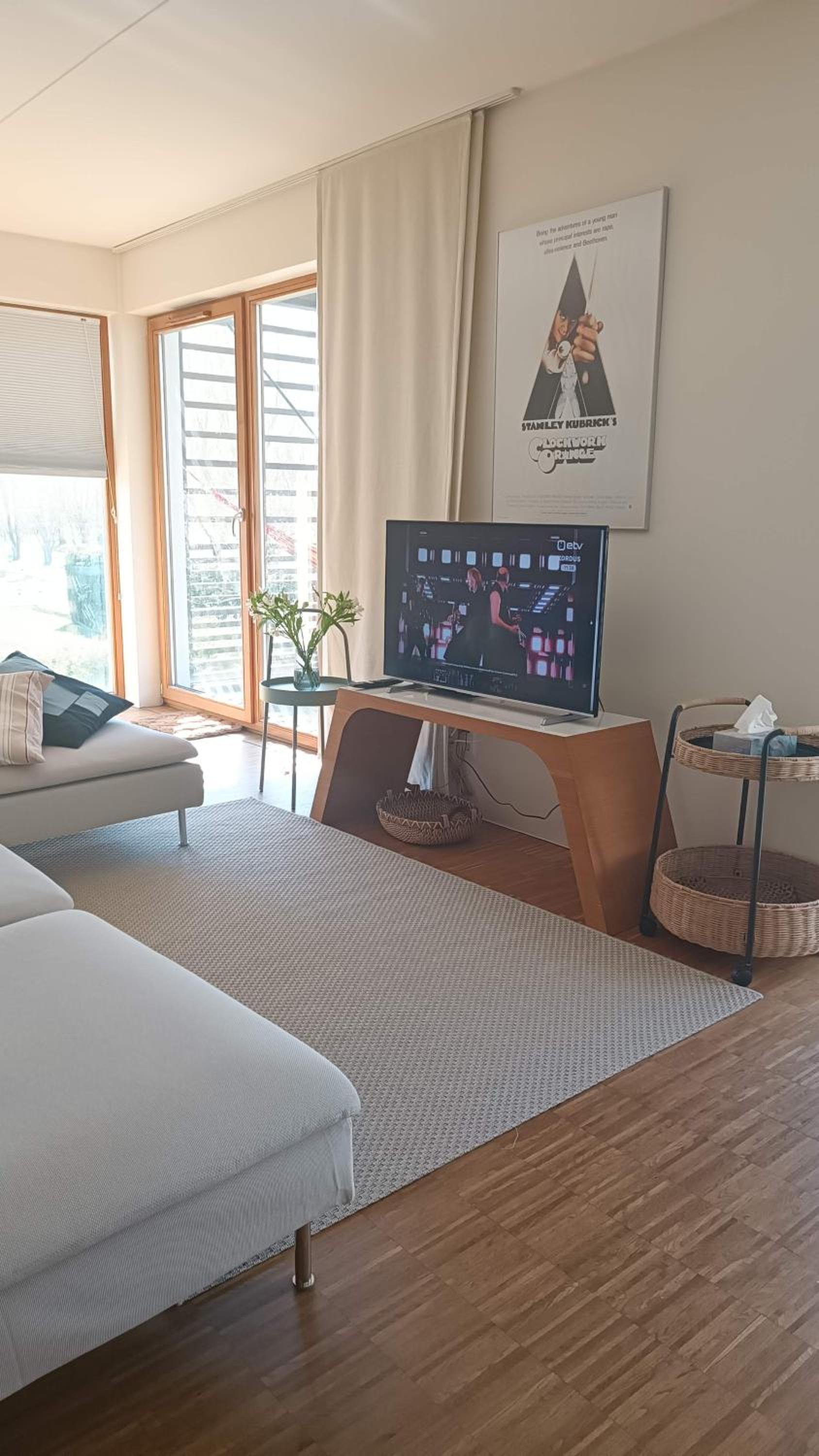 Papli Holiday Studio