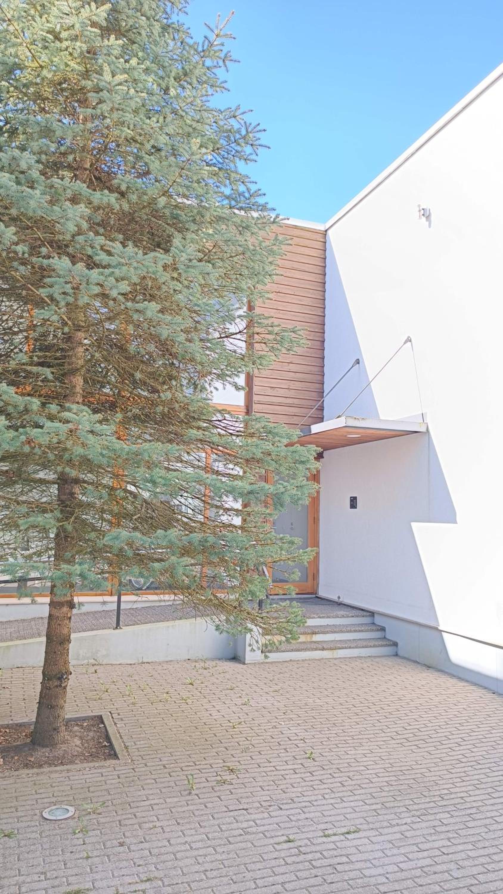 Papli Holiday Studio