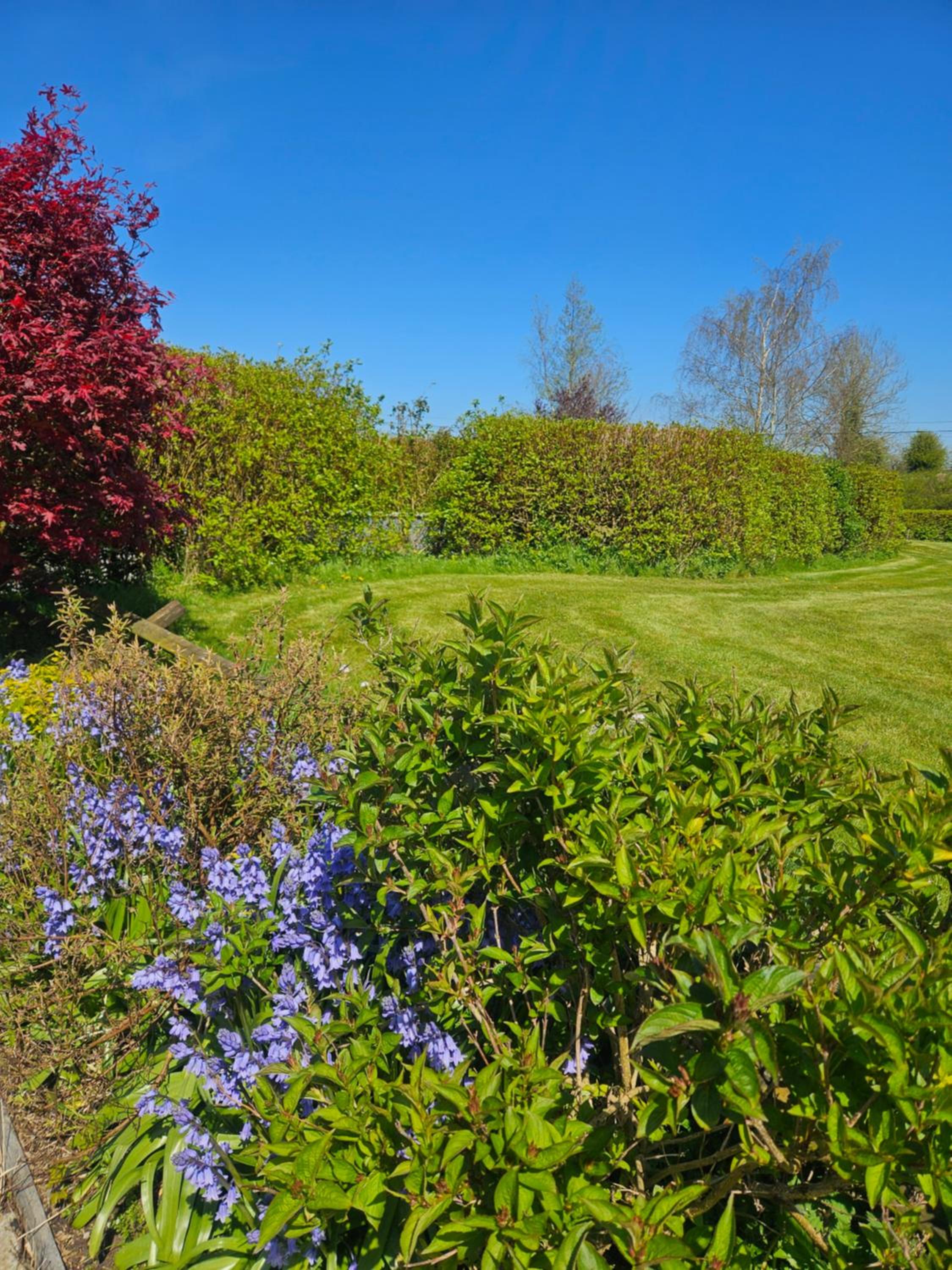 Ard Aoibhinn Roscommon Bed & Breakfast view 5