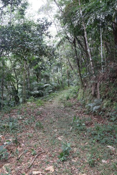 Waldberg Ferienwohnung - Casa de Férias - Final de Semana