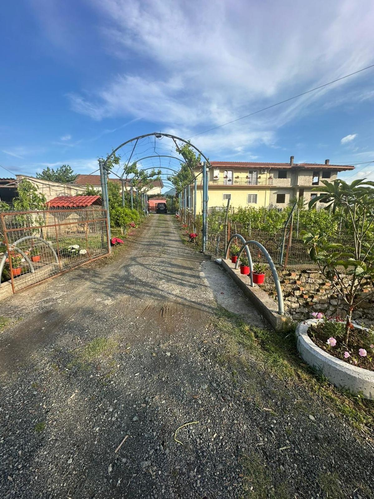 Guesthouse Marku - Mrizi i Zanave photo 3