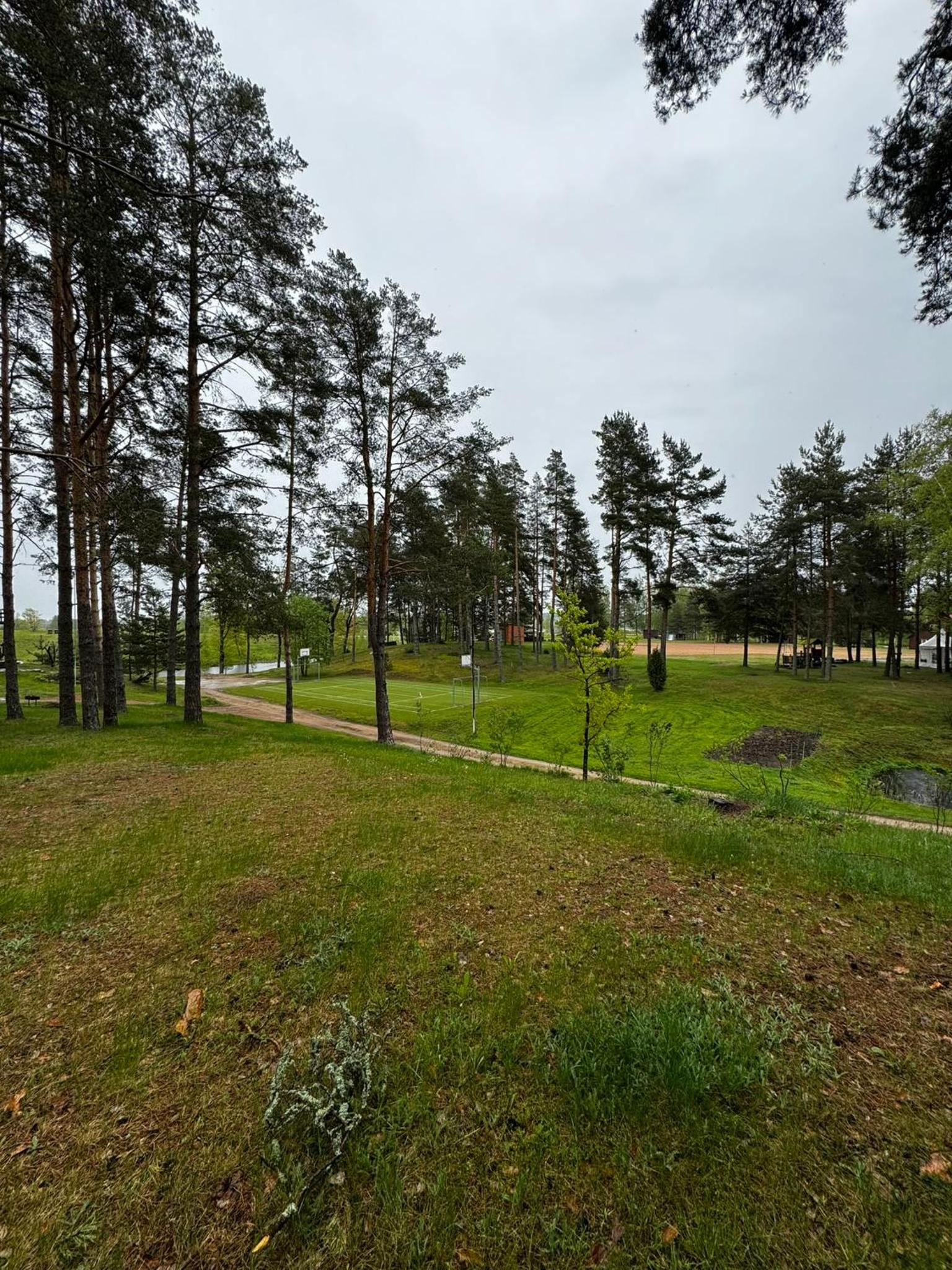 Photo 8