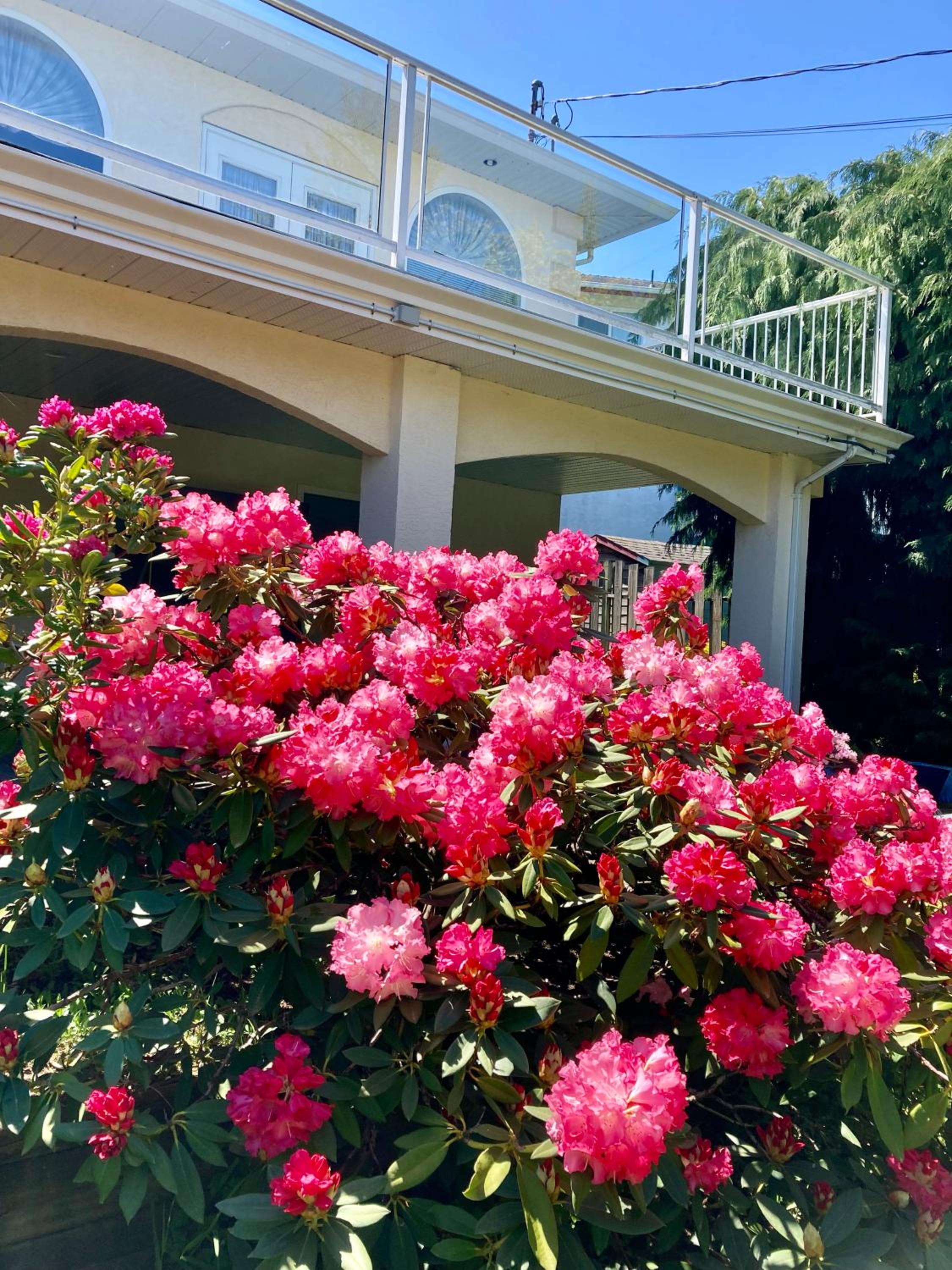 Red Robe B&B