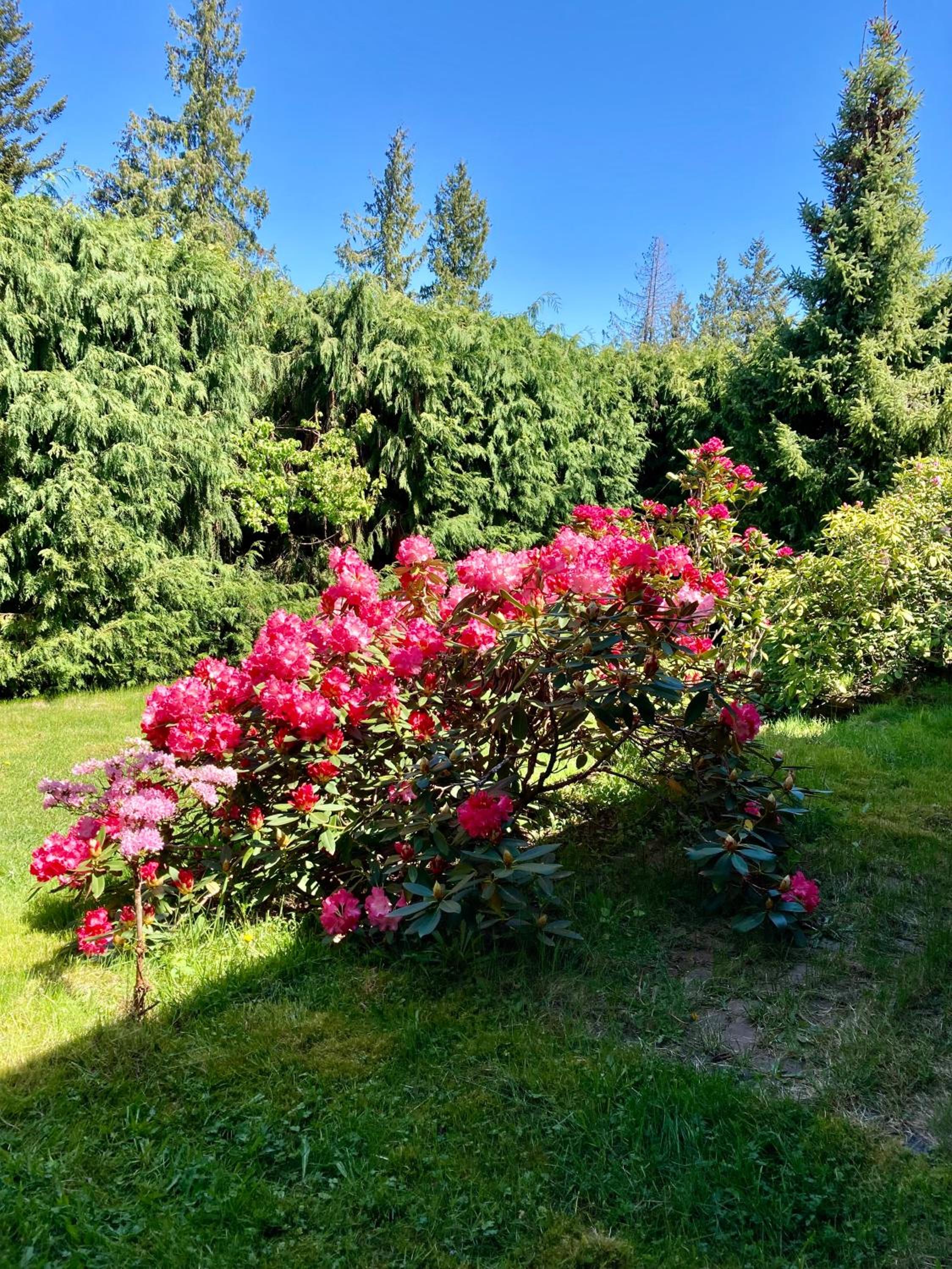 Red Robe B&B