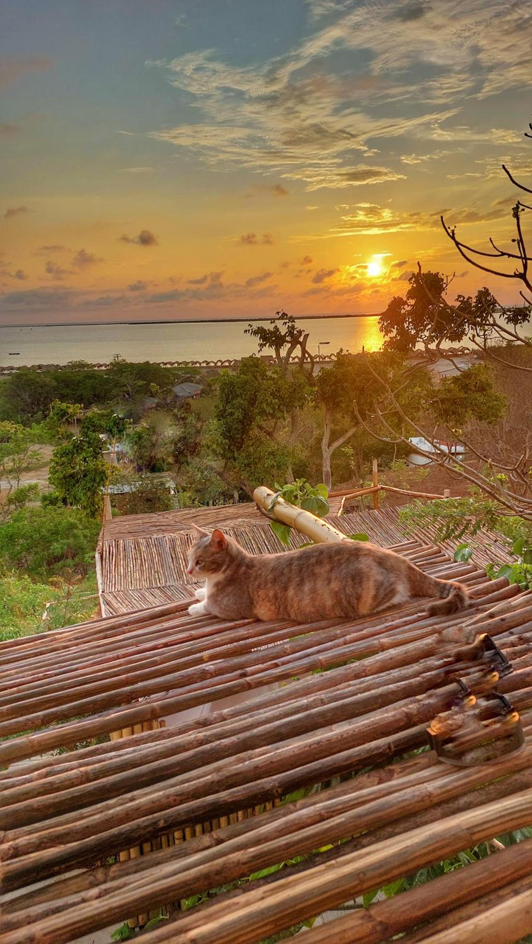 Puerta al Mar Ecolodge Glamping