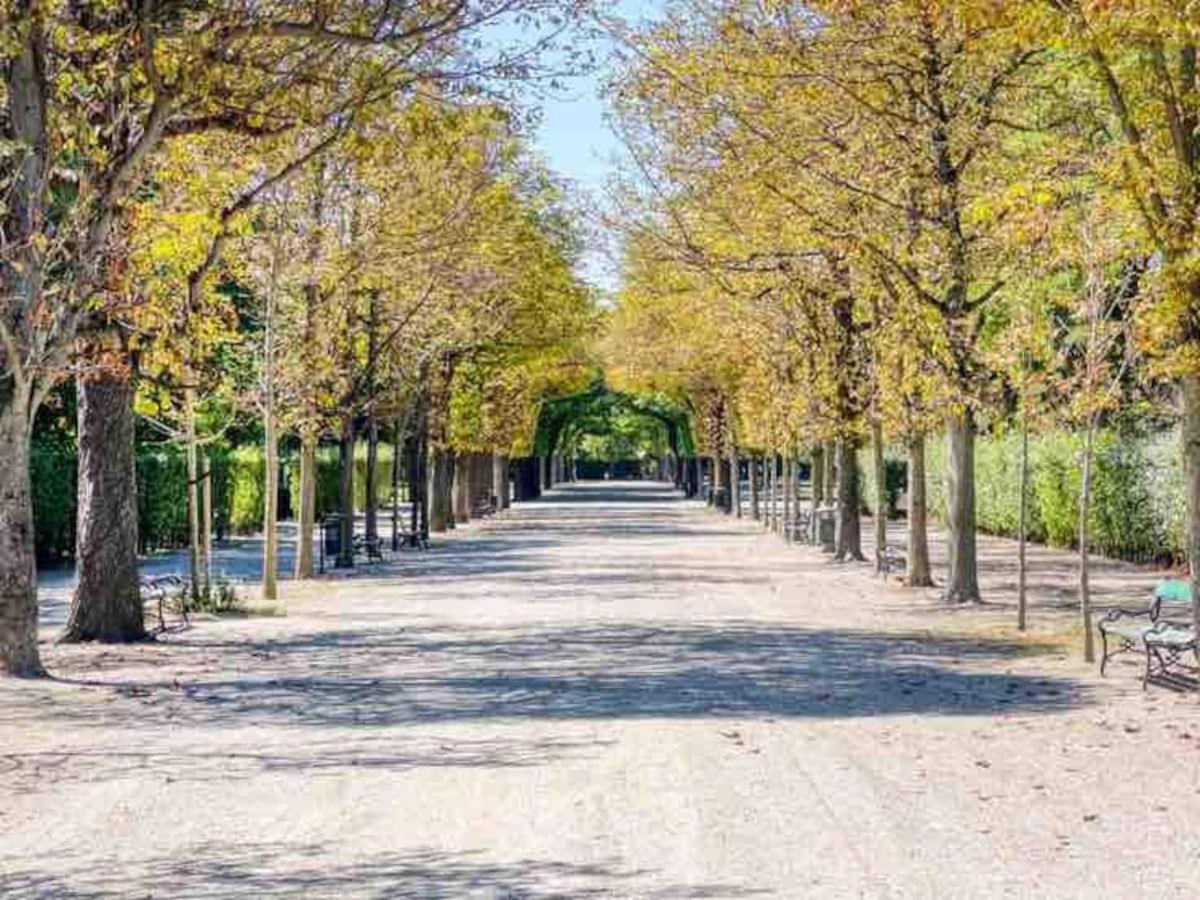 Central apartment with balcony next Augarten Park