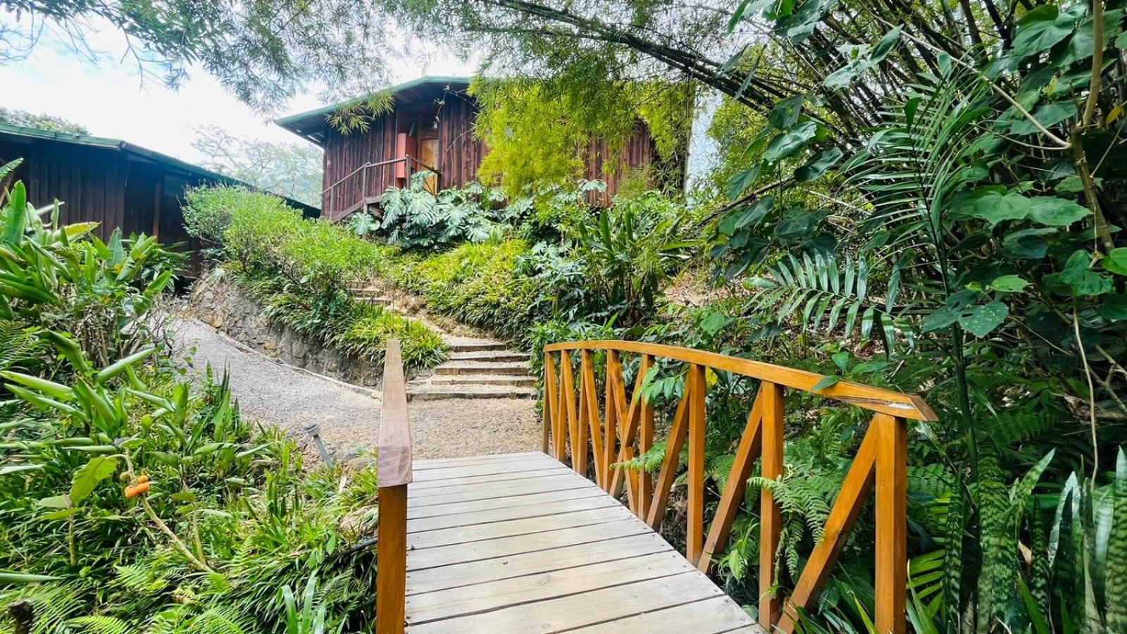 El Toucanet Lodge & Restaurante